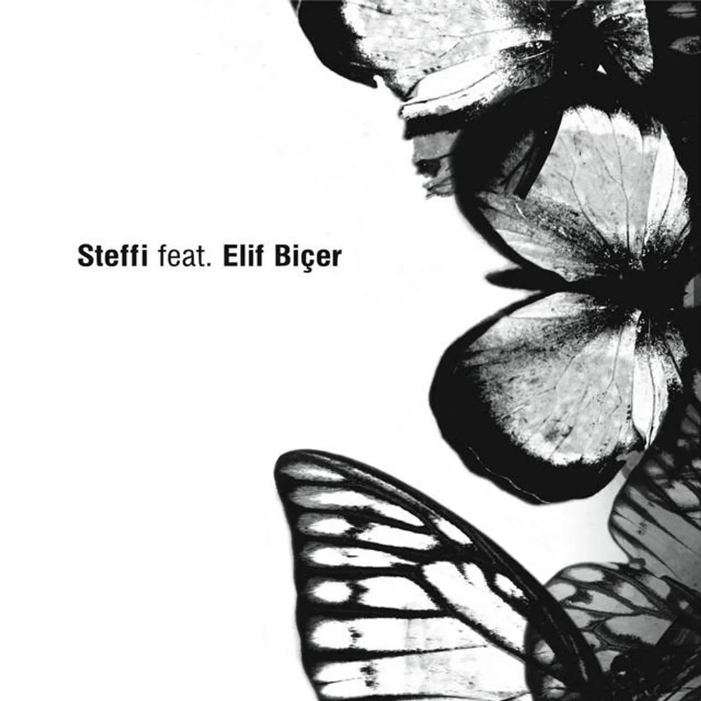 Elif Biçer Brand Page