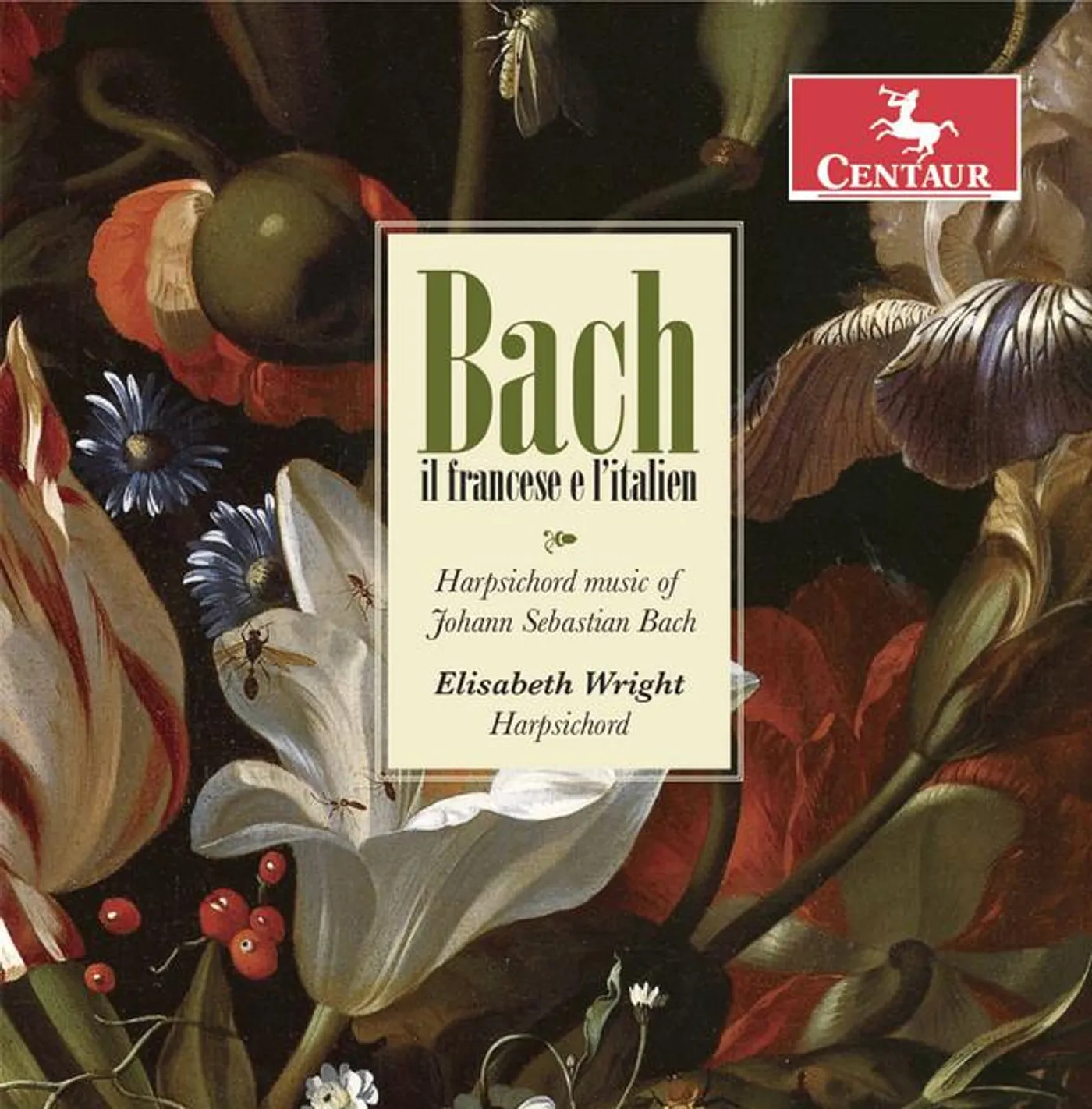 Elisabeth Wright