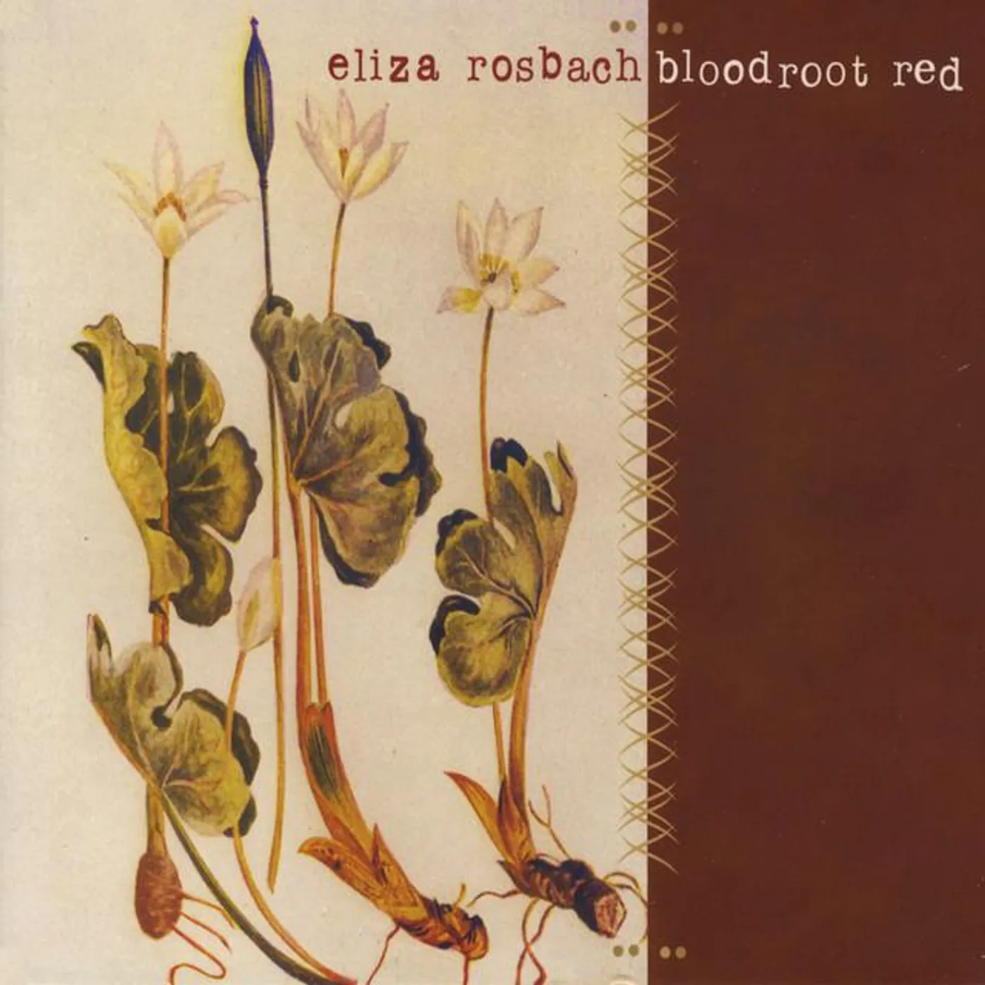 Eliza Rosbach Brand Page