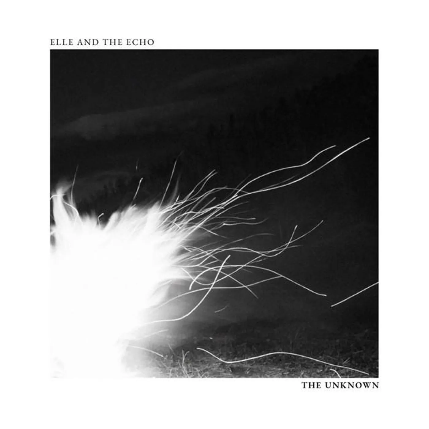 Elle and The Echo Brand Page