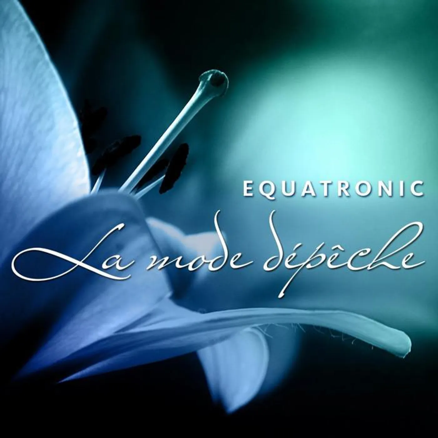 Equatronic Brand Page