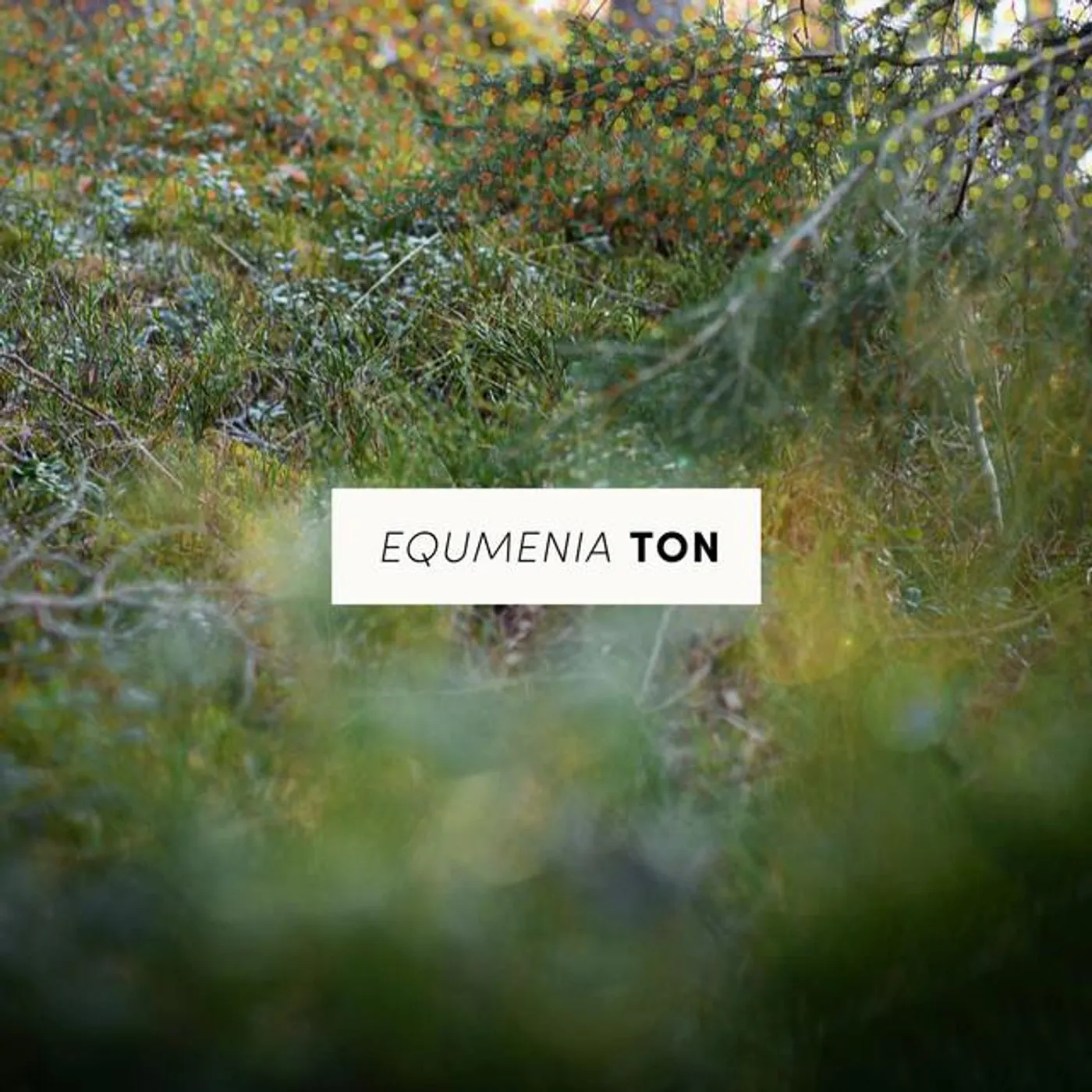 Equmenia Ton