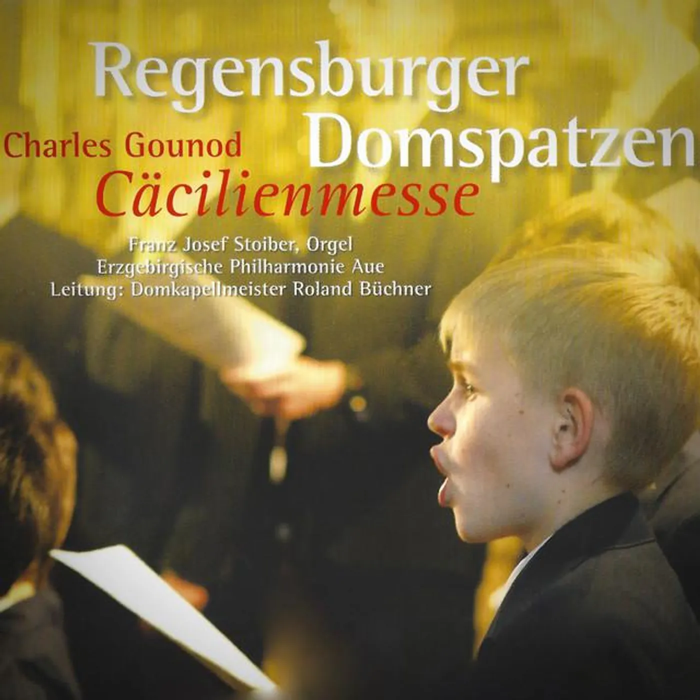 Erzgebirgische Philharmonie Aue