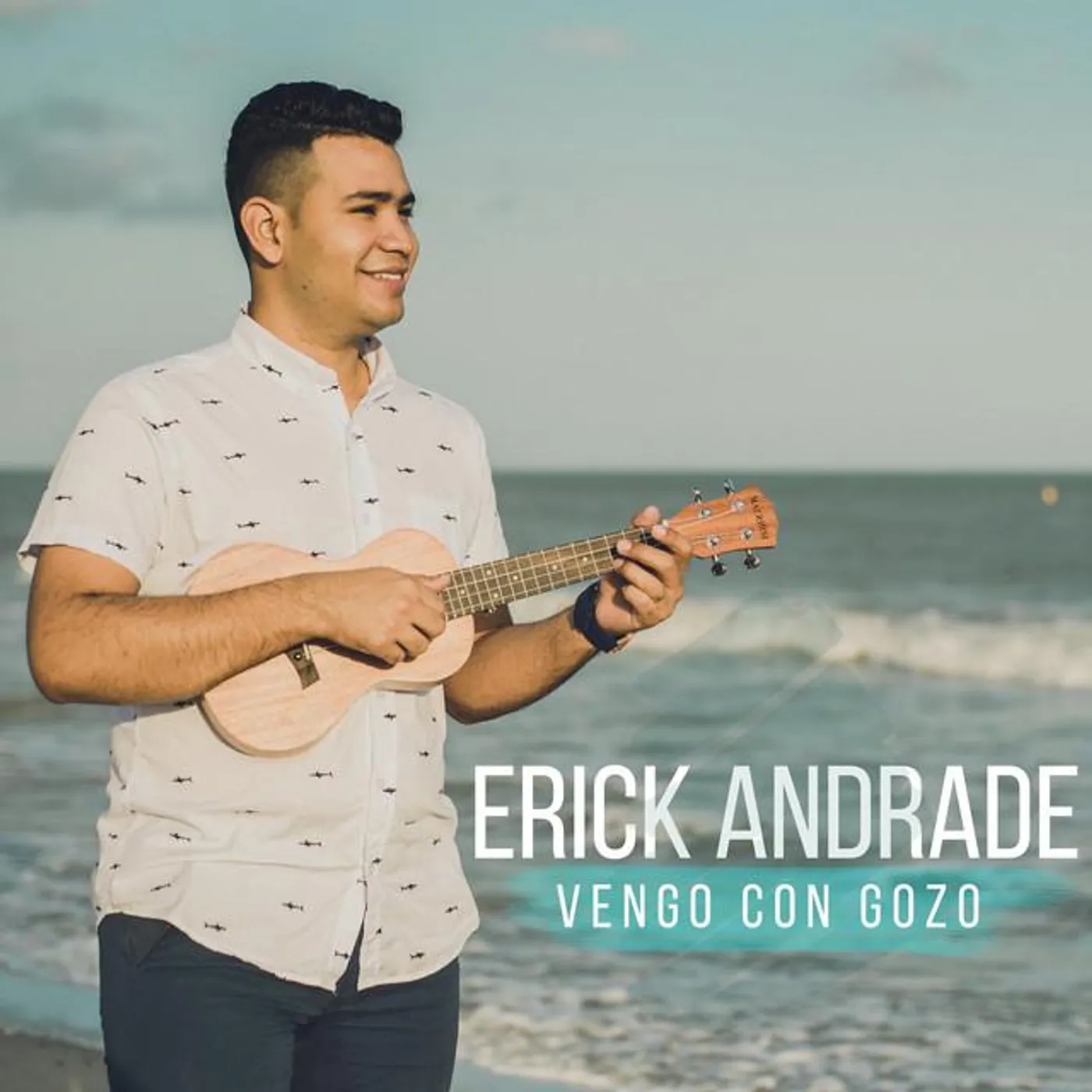 Erick Andrade