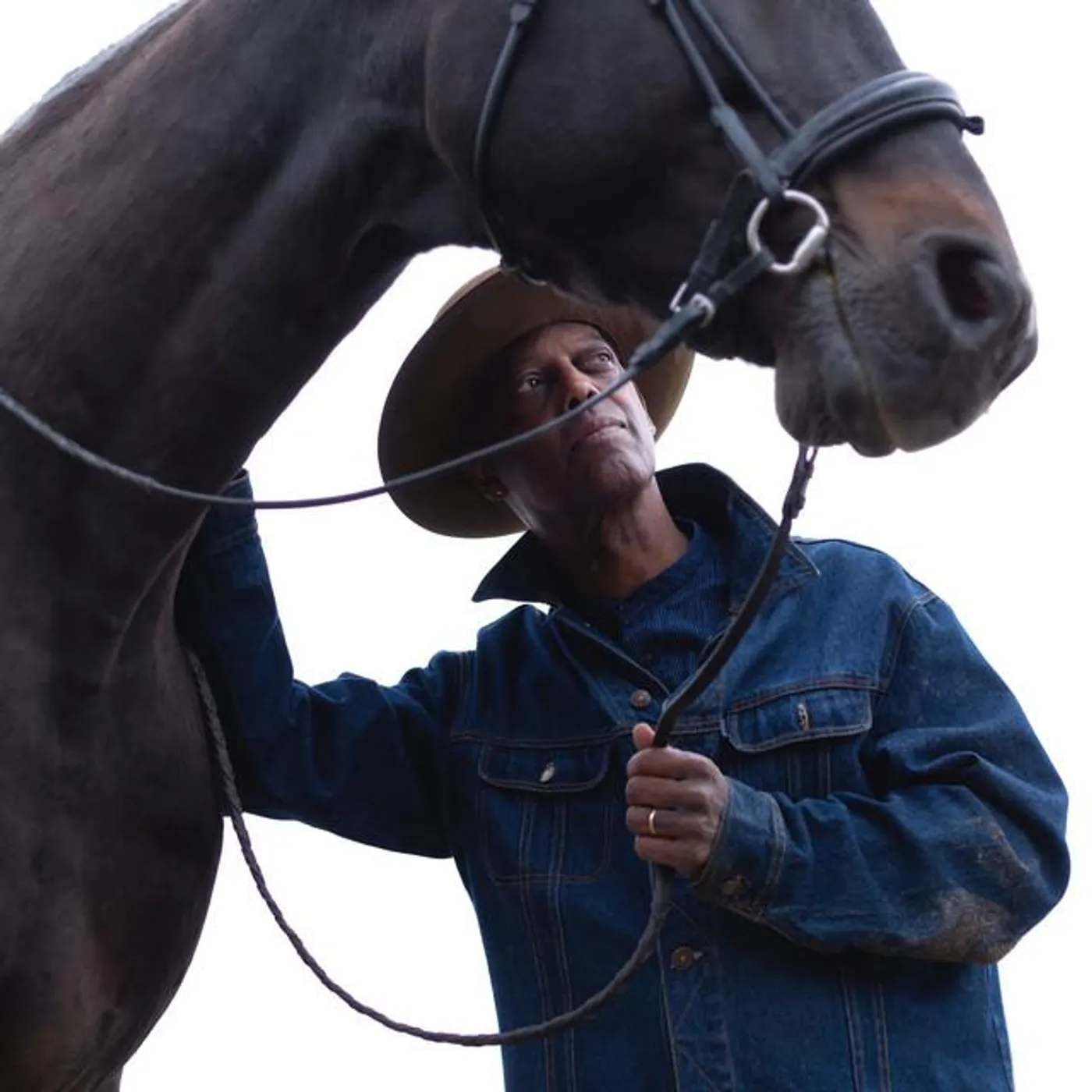 Eric Bibb Brand Page