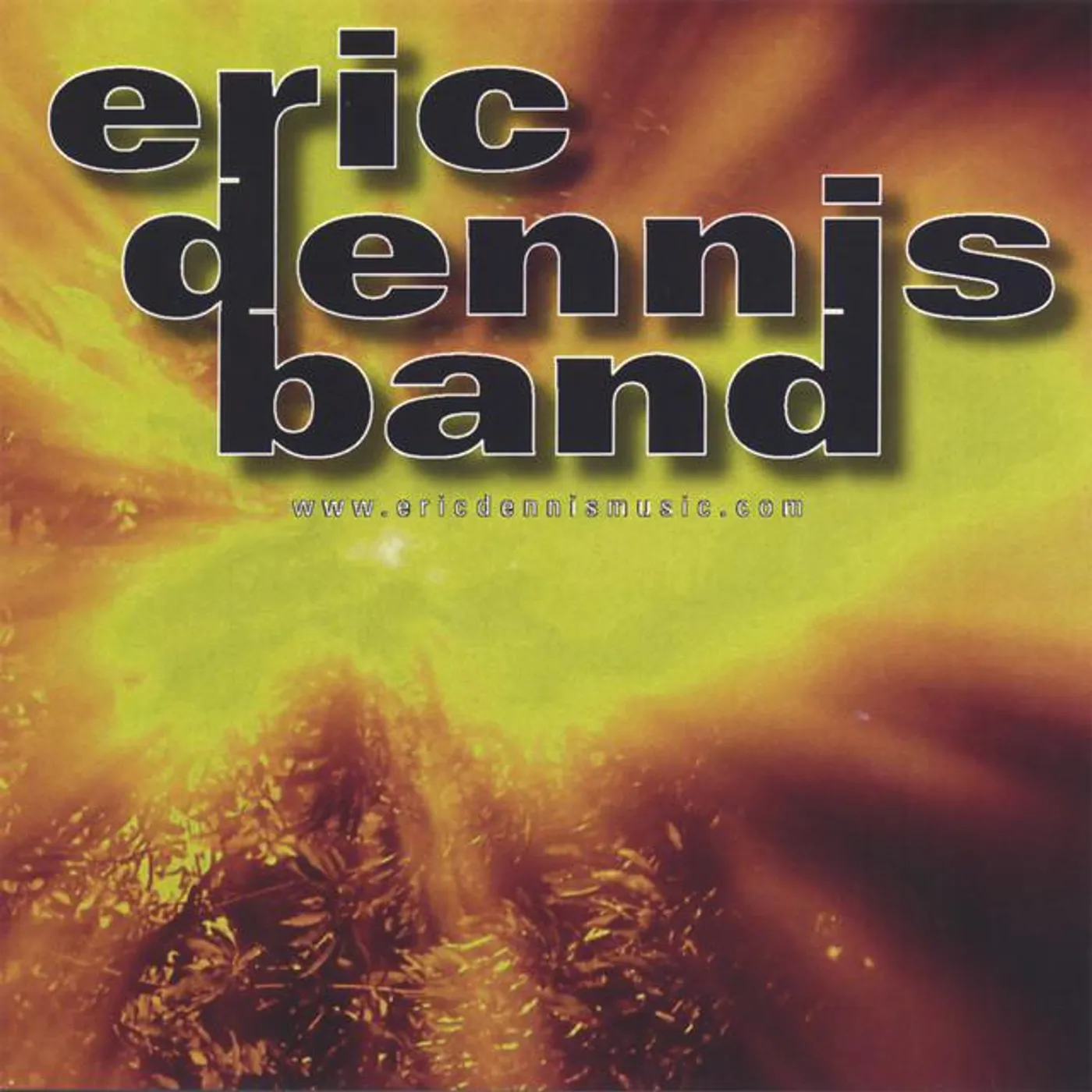 Eric Dennis Band Brand Page
