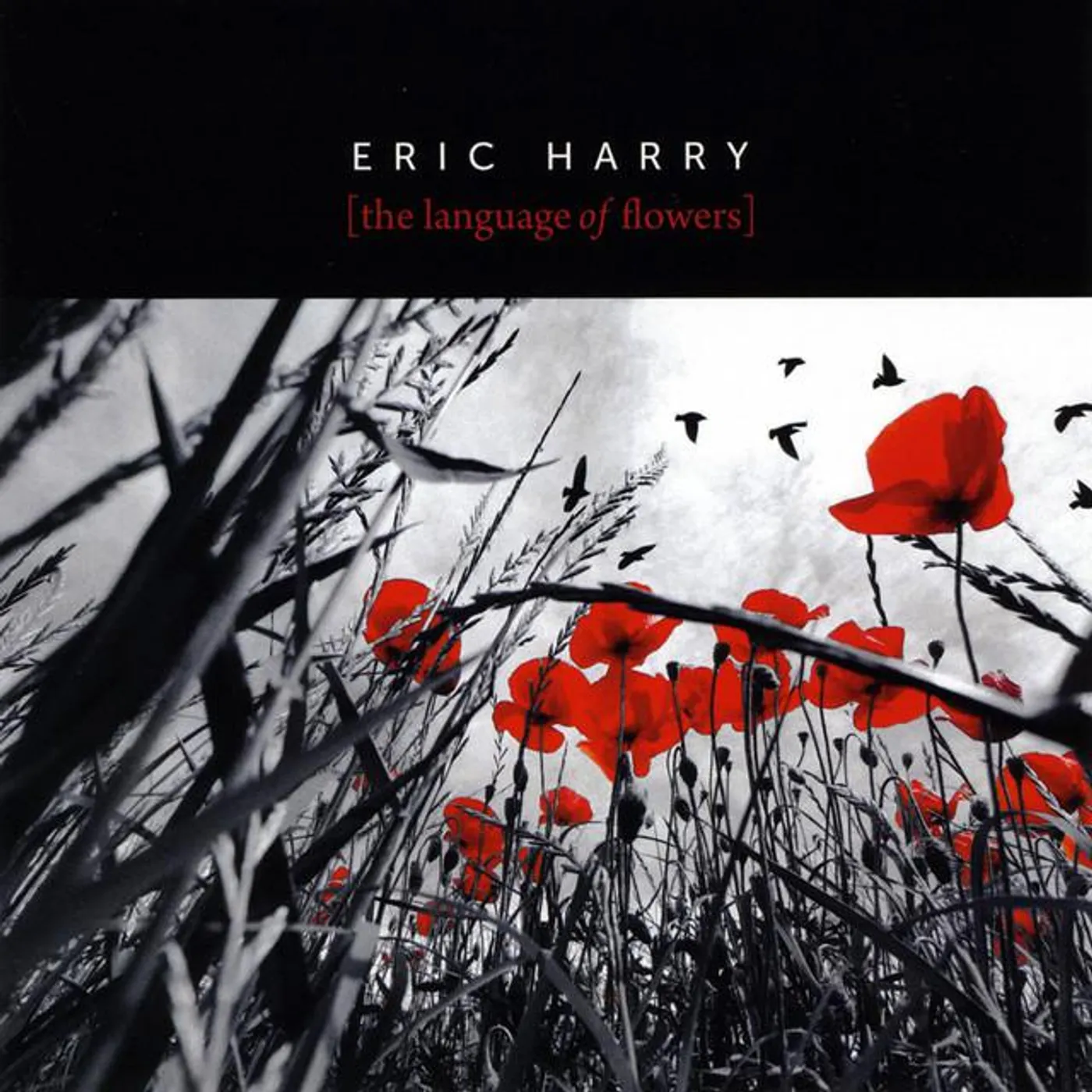 Eric Harry Brand Page