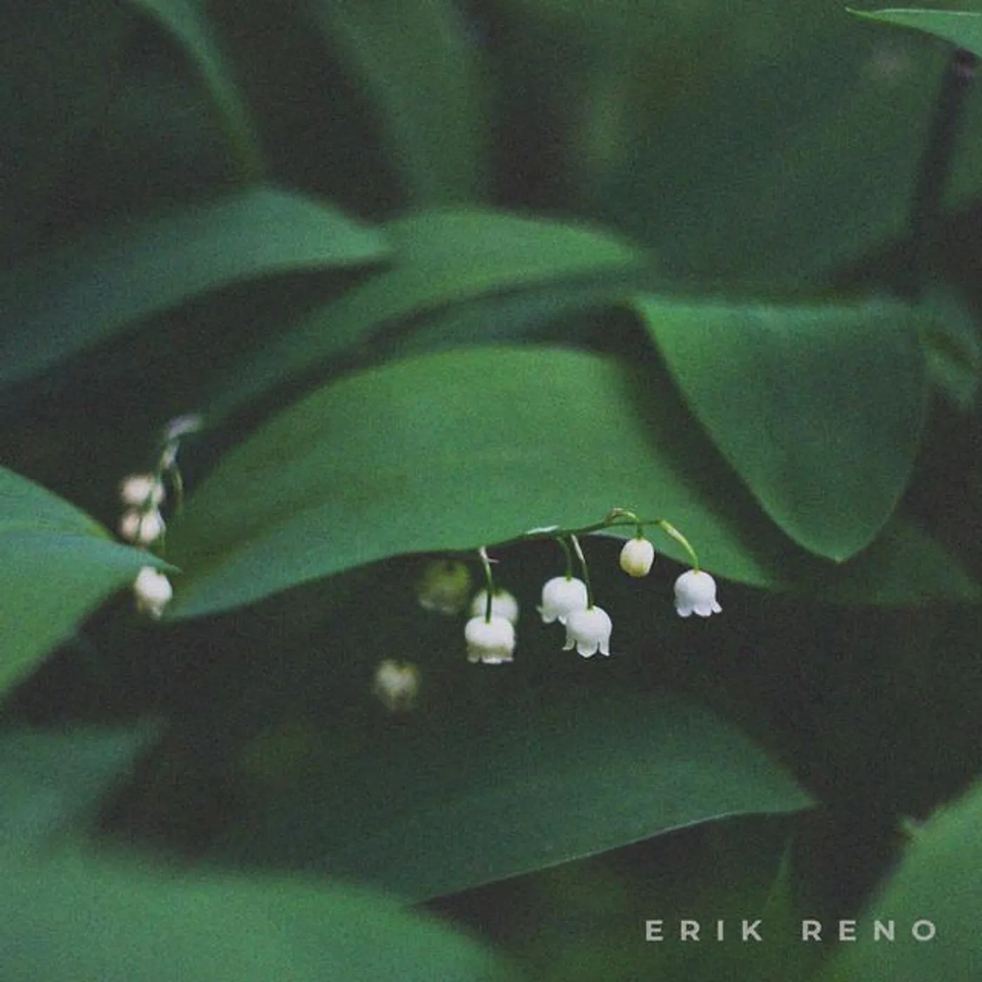 Erik Reno