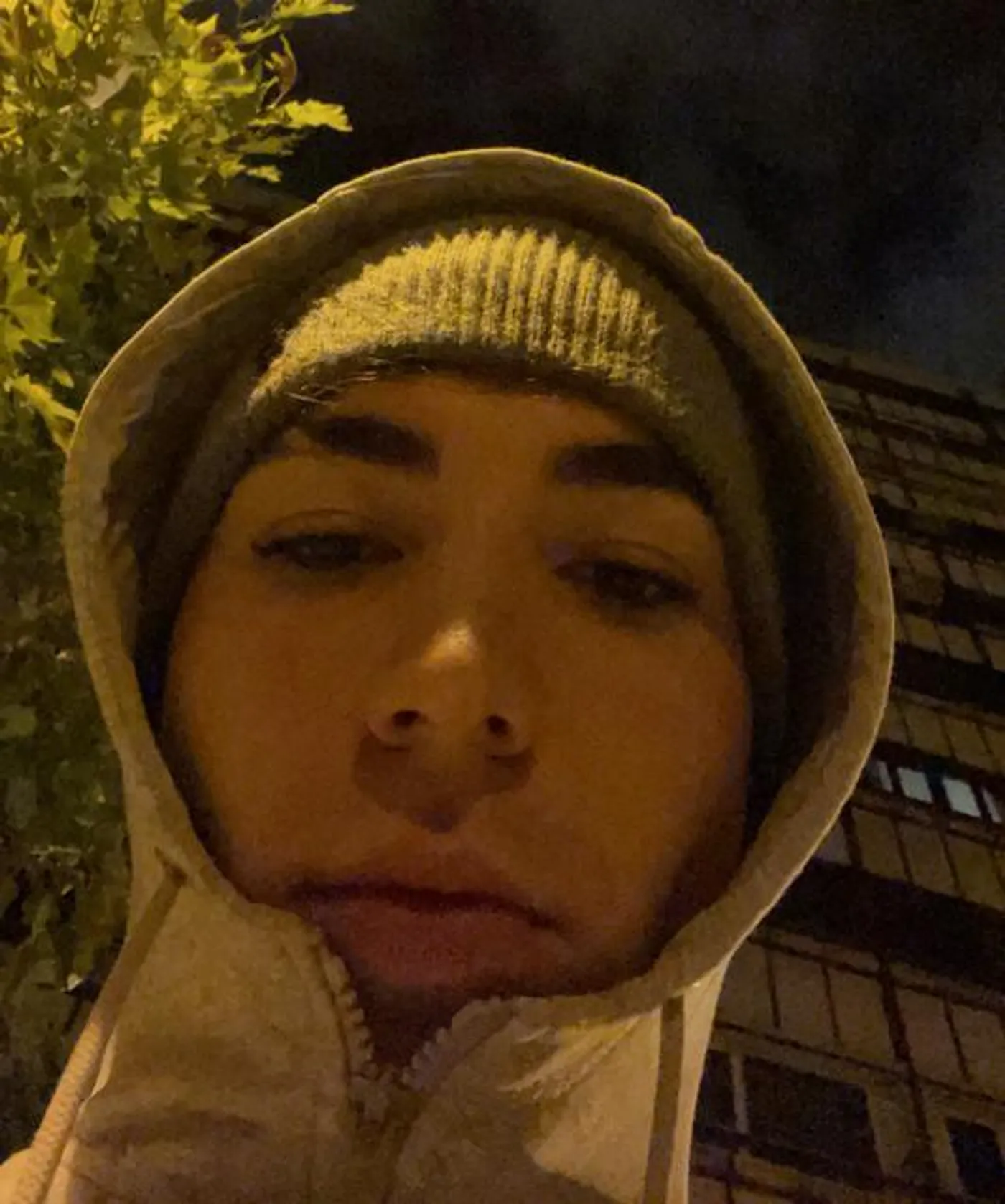 Ernes H