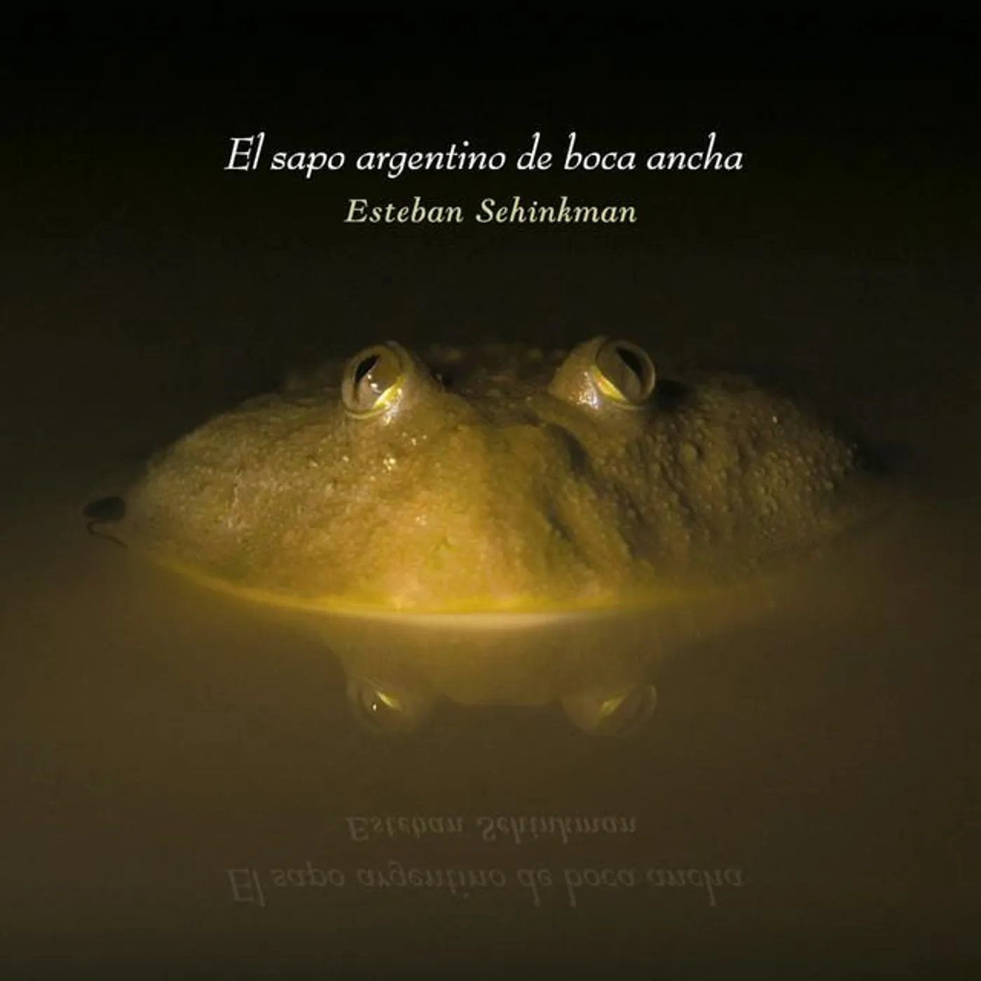 Esteban Sehinkman Brand Page