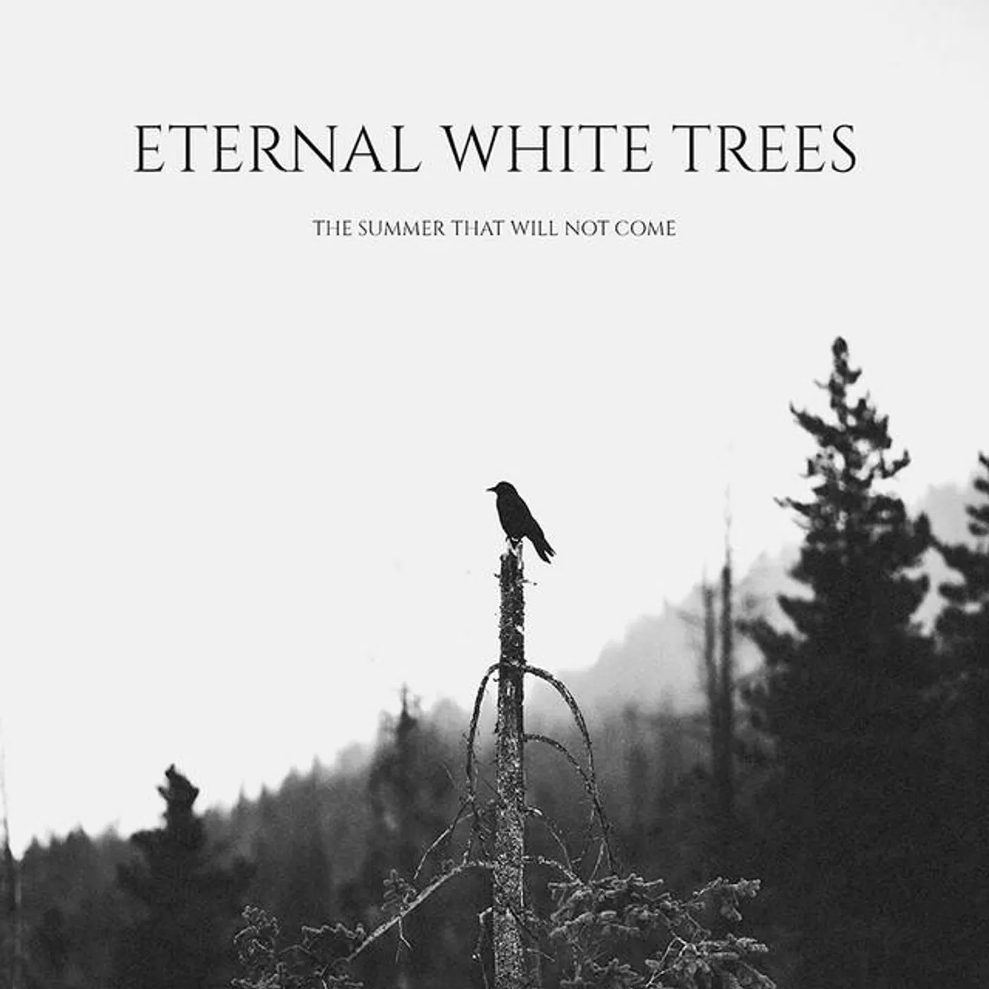 Eternal White Trees Brand Page