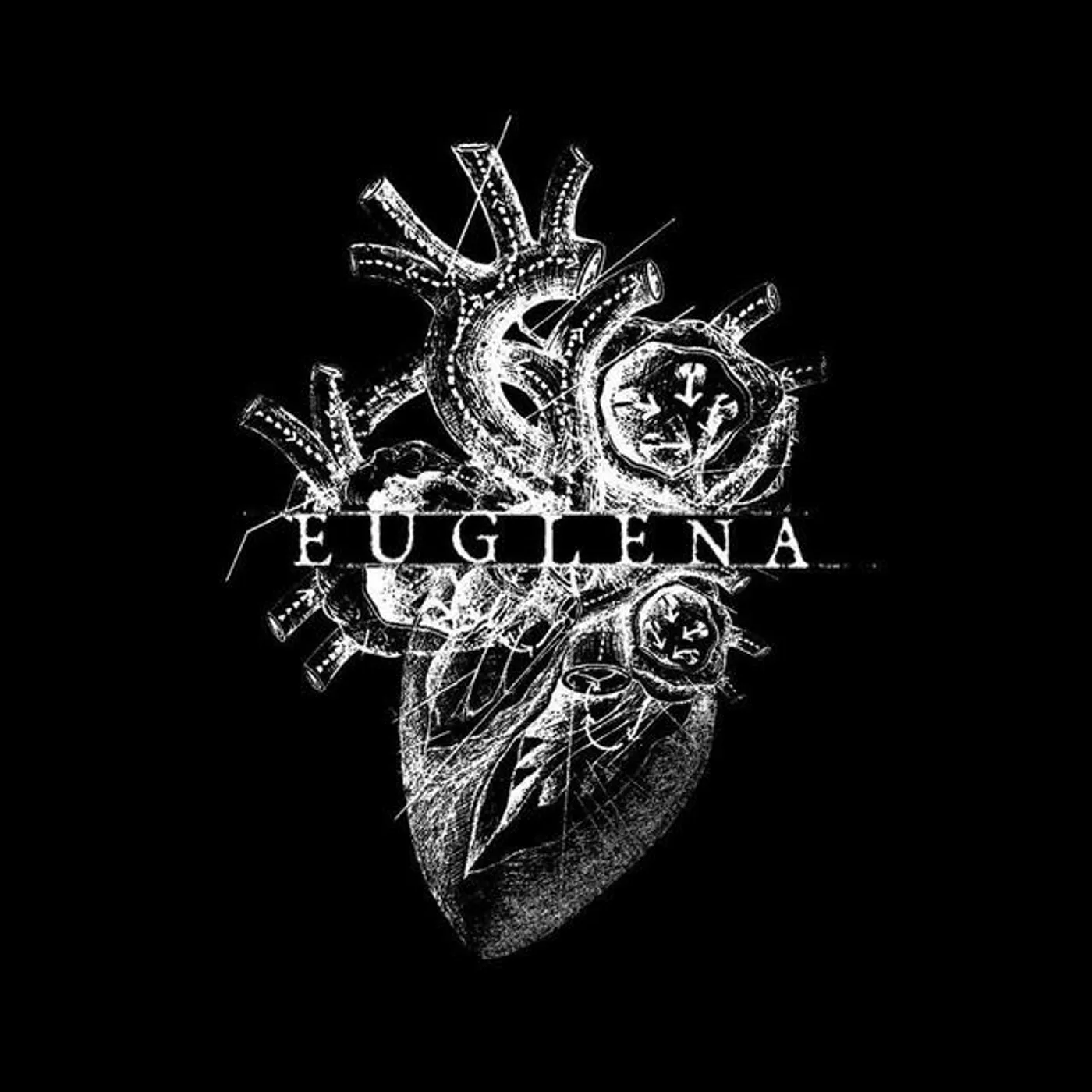 Euglena Brand Page