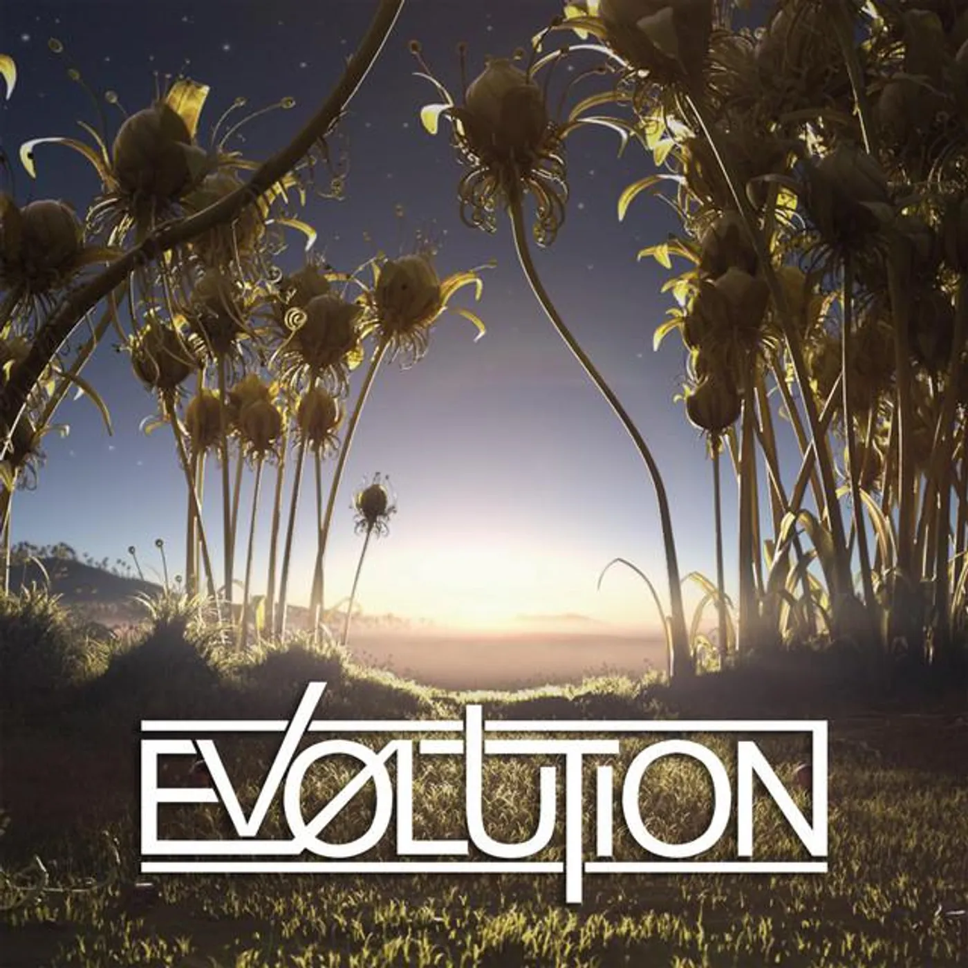 Ev0lution Brand Page
