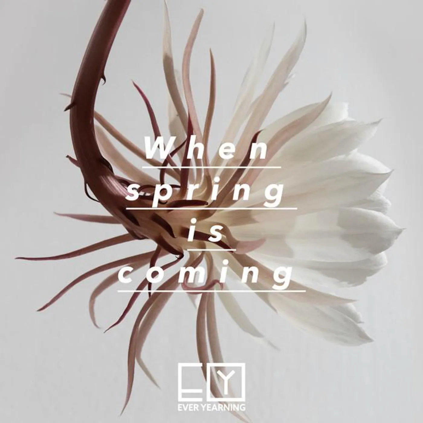 Ever Yearning Brand Page