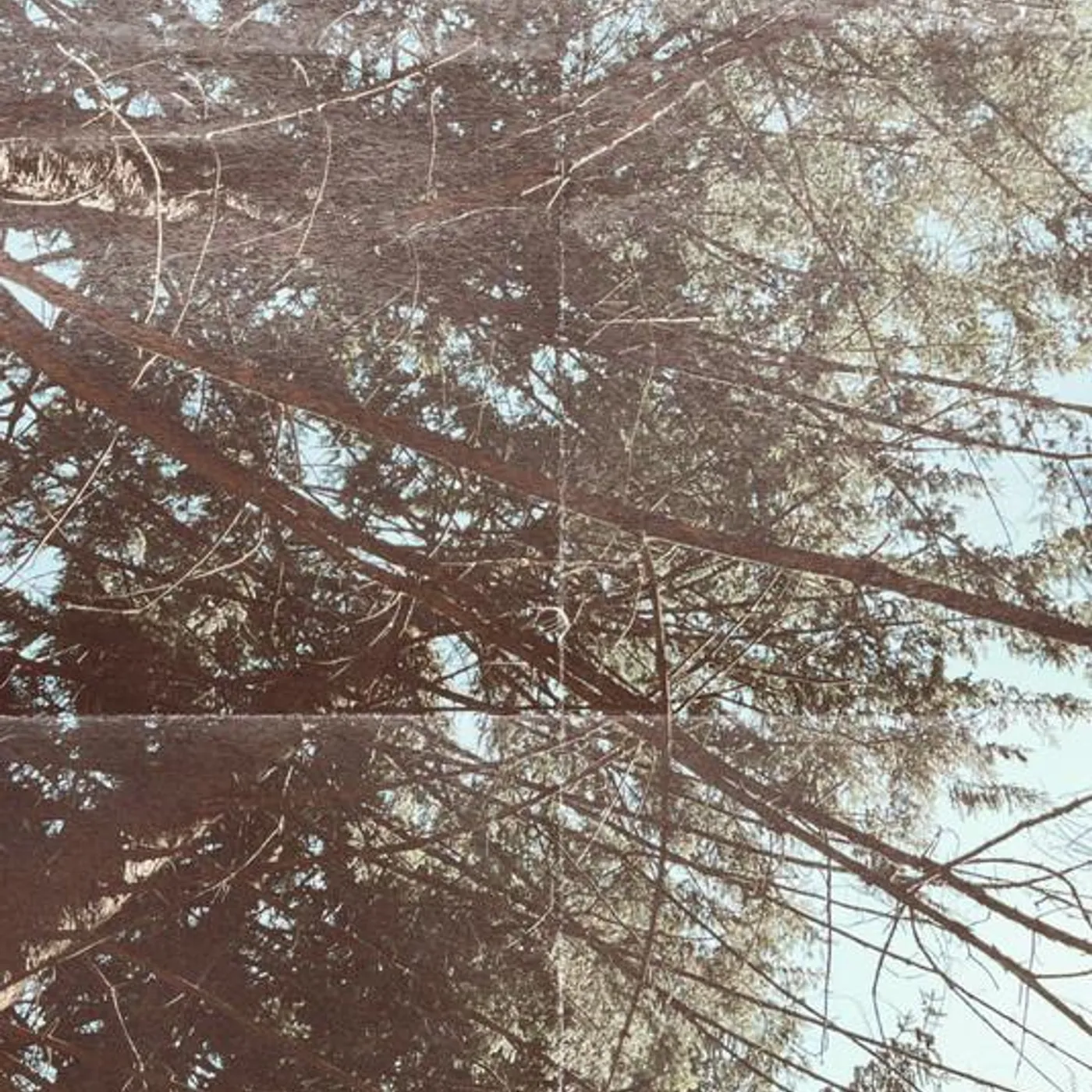 Evergreen Dream Brand Page