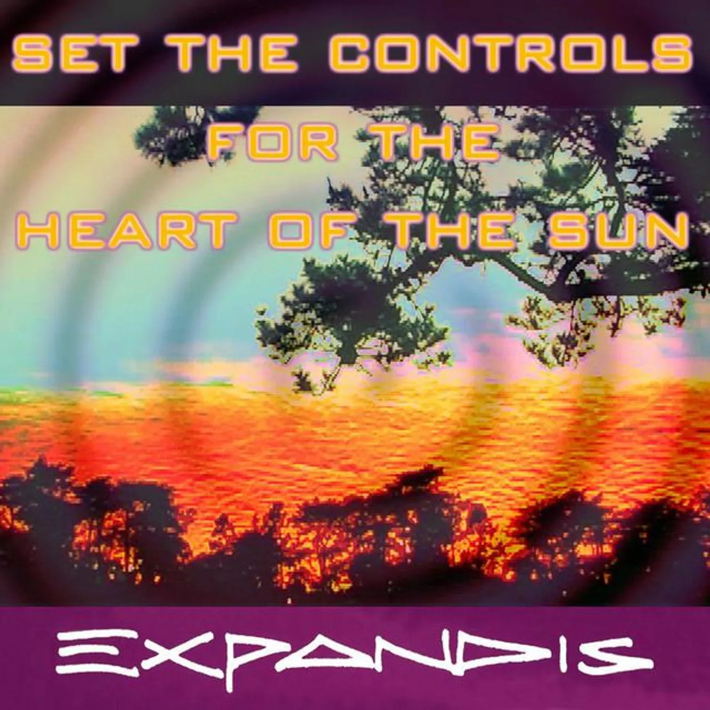 Expandis