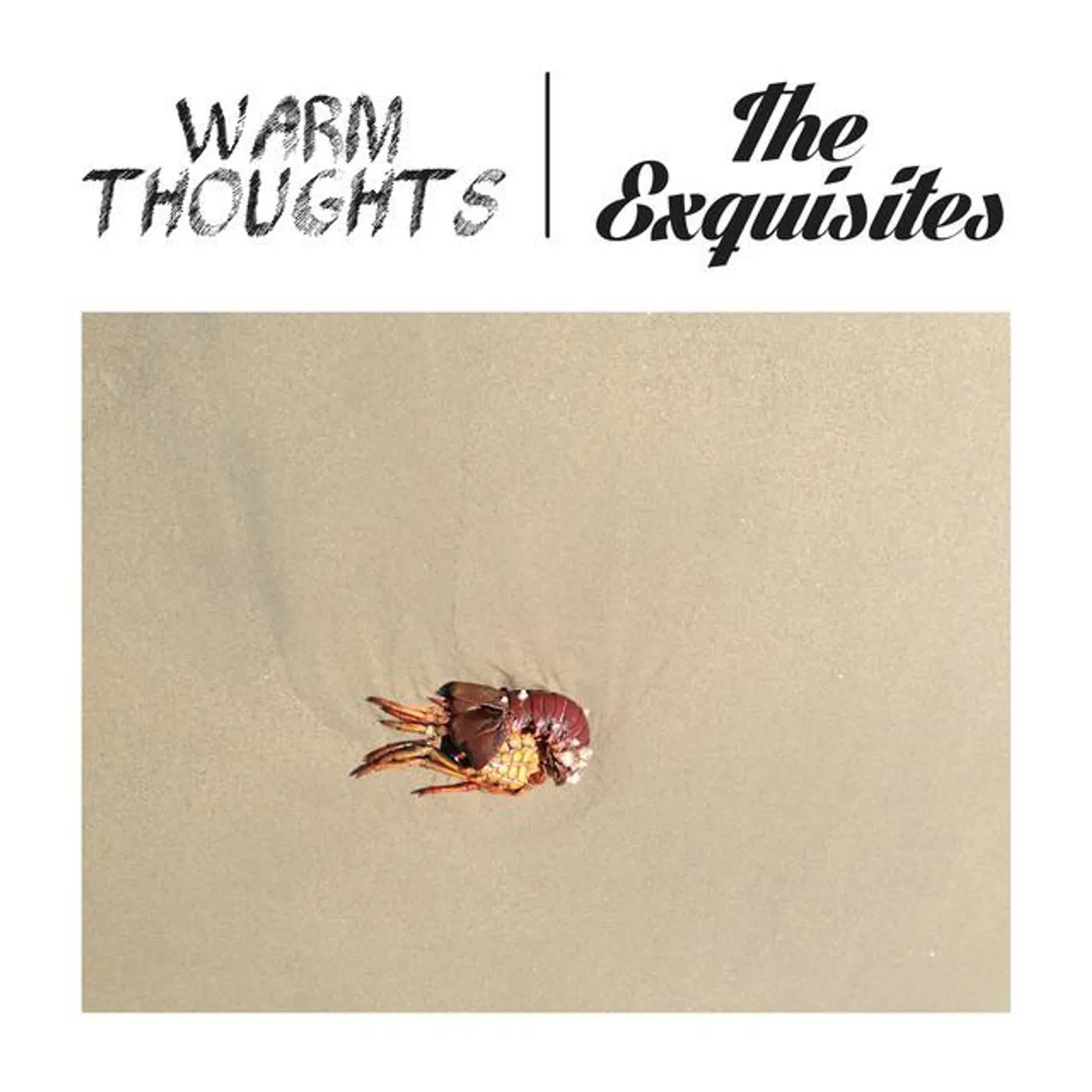 The Exquisites
