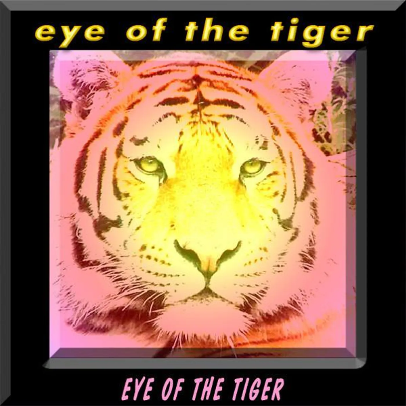Eye Of The Tiger Brand Page