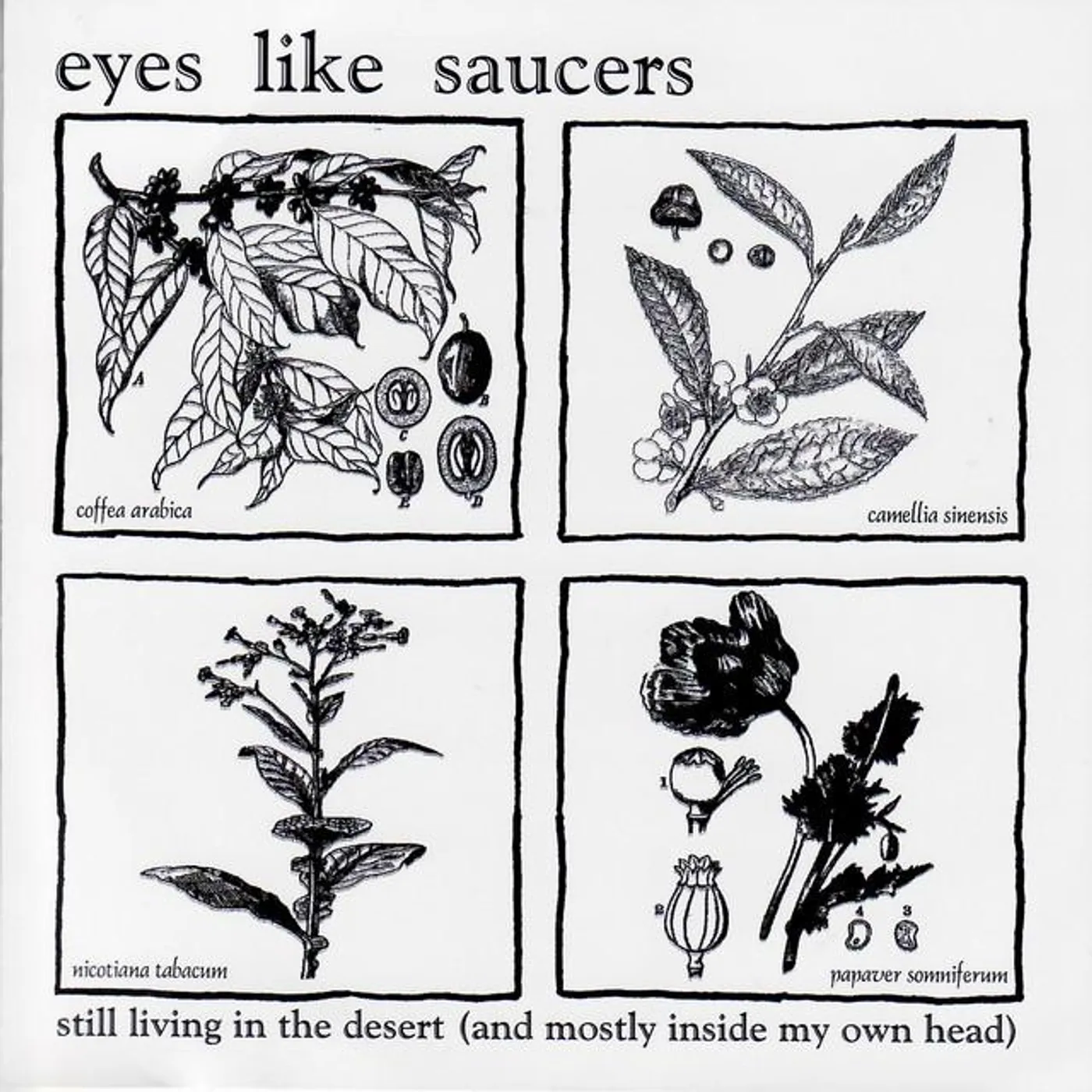 Eyes Like Saucers