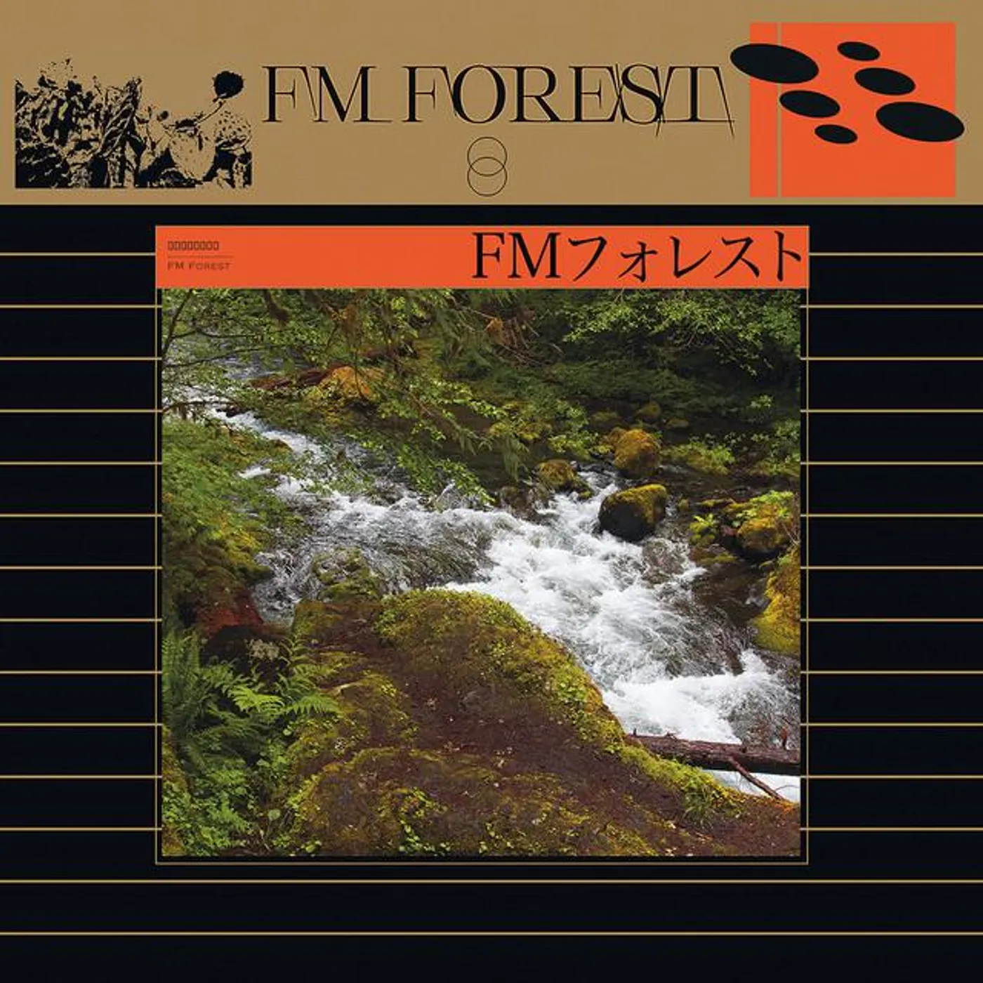 Fm Forest