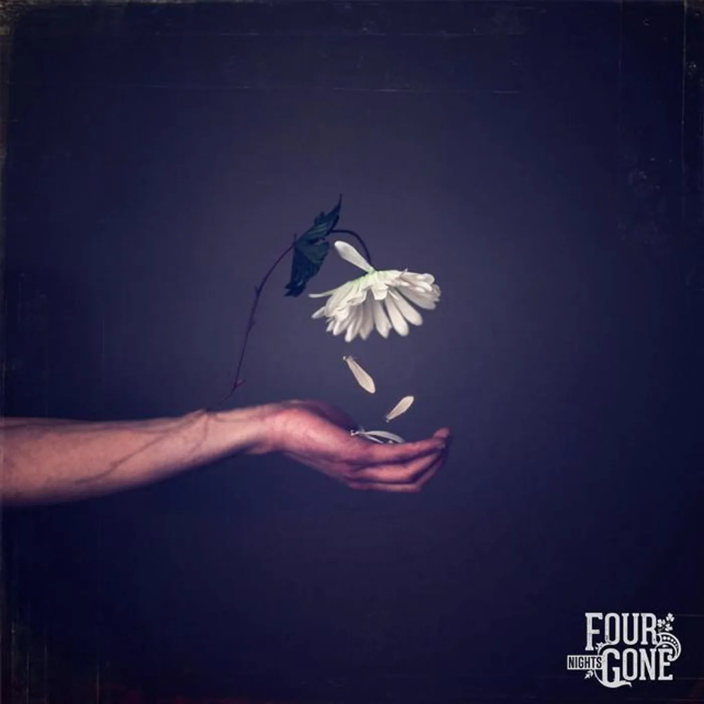 Four Nights Gone