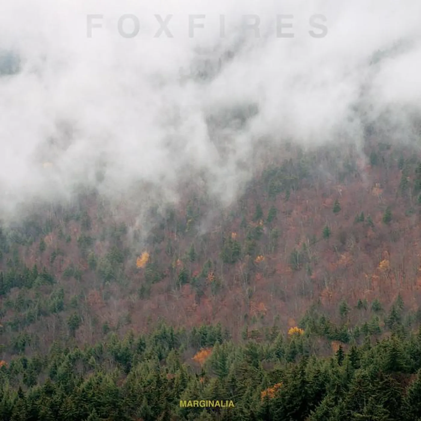 Foxfires Brand Page