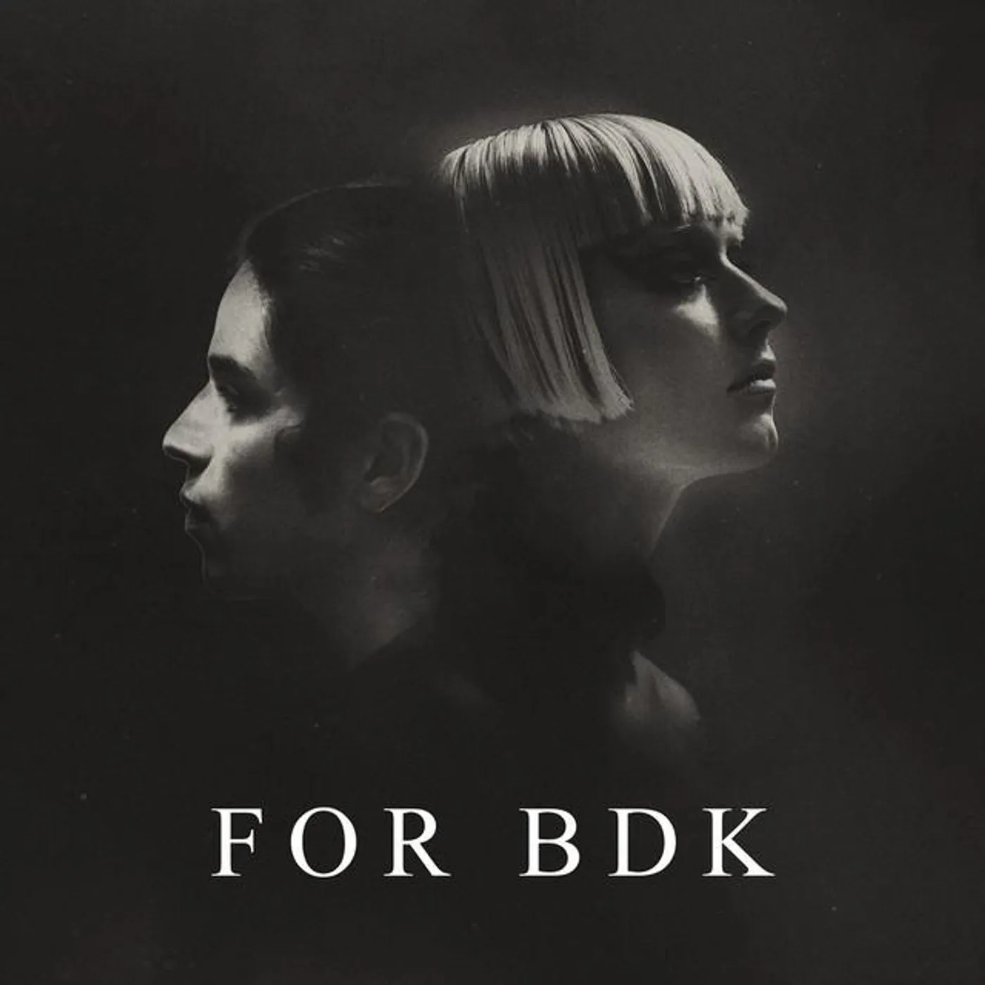 For BDK Brand Page