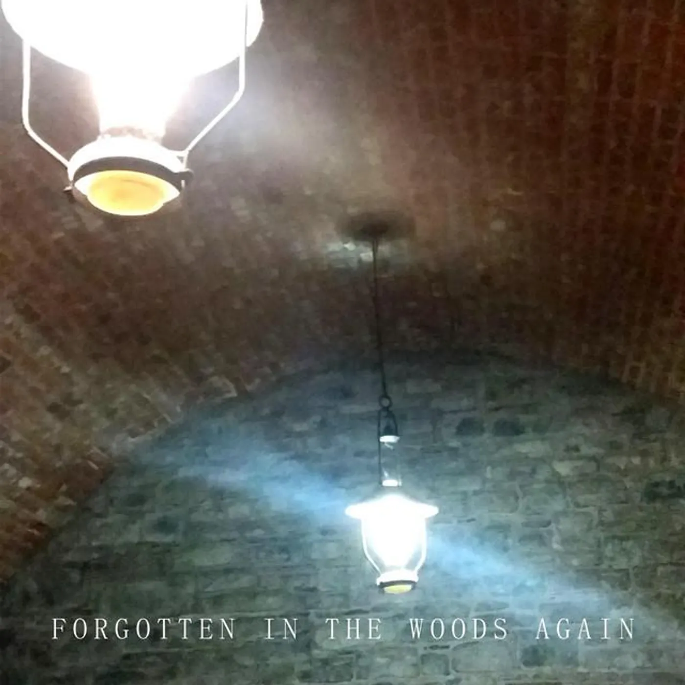 Forgotten in the Woods Again