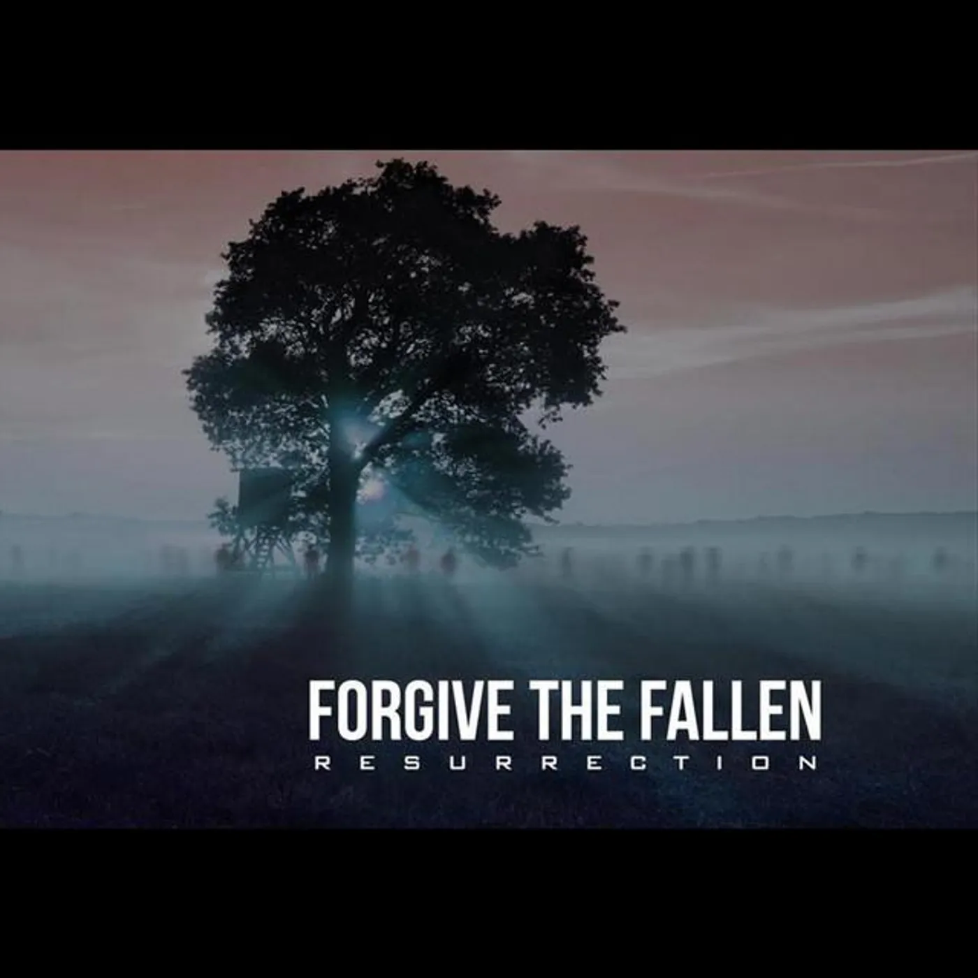 Forgive The Fallen