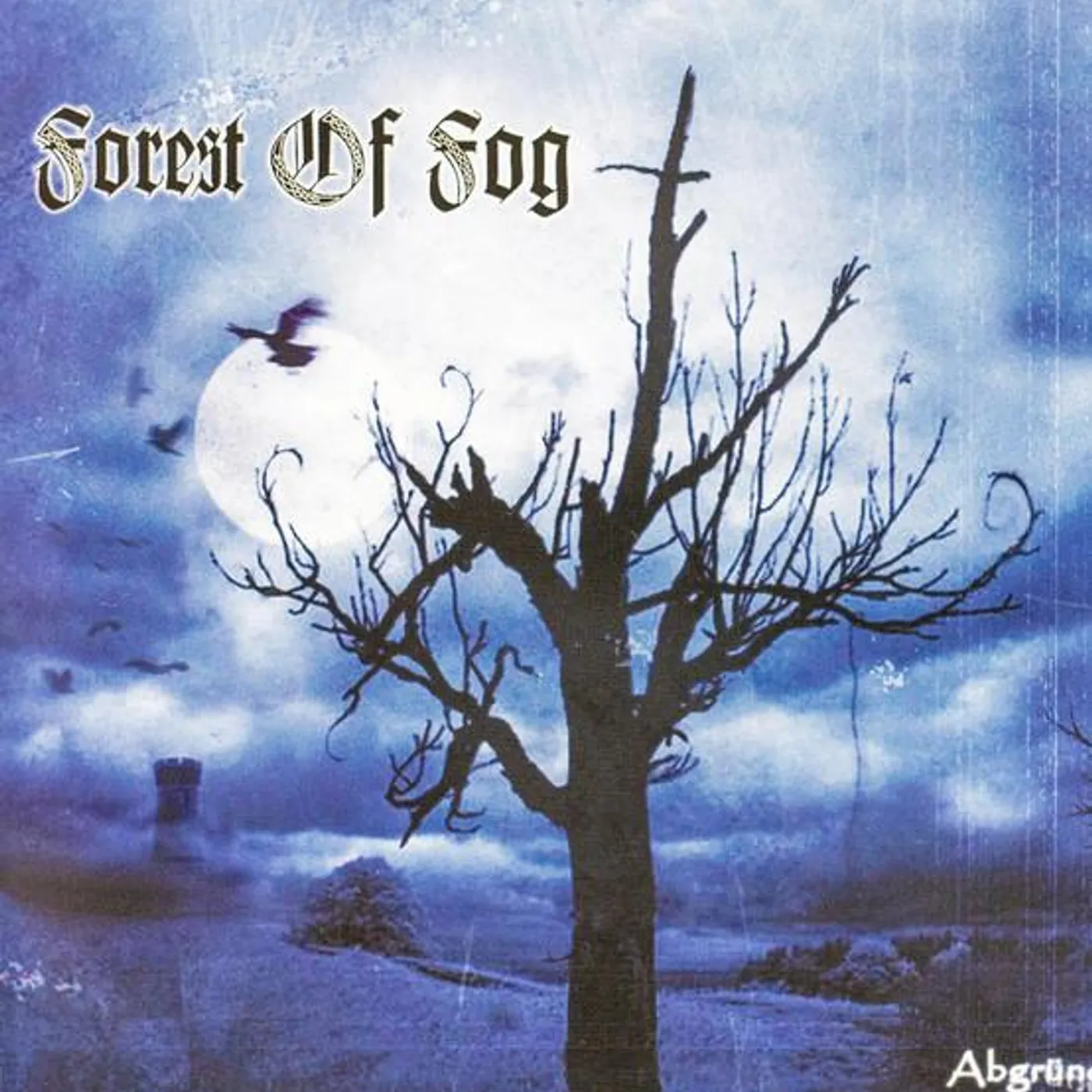 Forest Of Fog