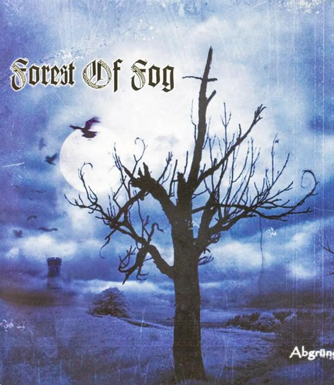 Forest Of Fog