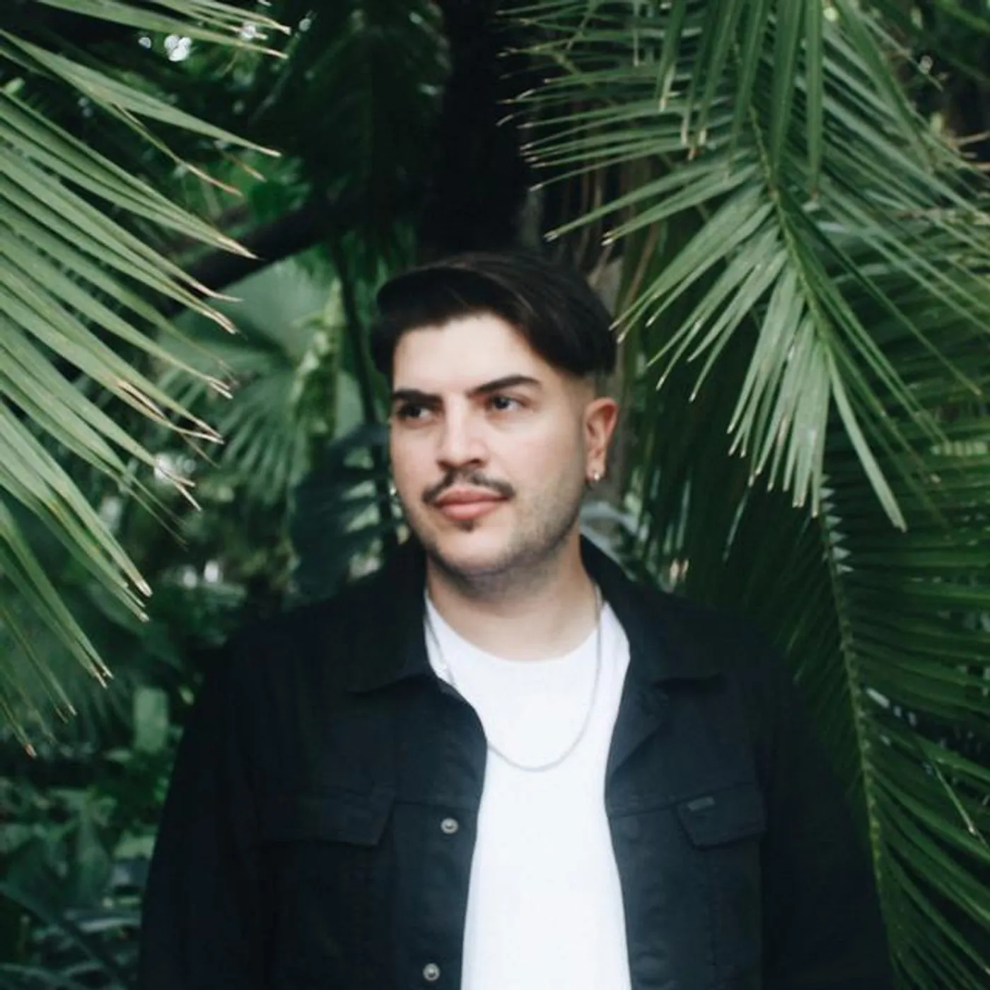 Forest On Stasys Brand Page