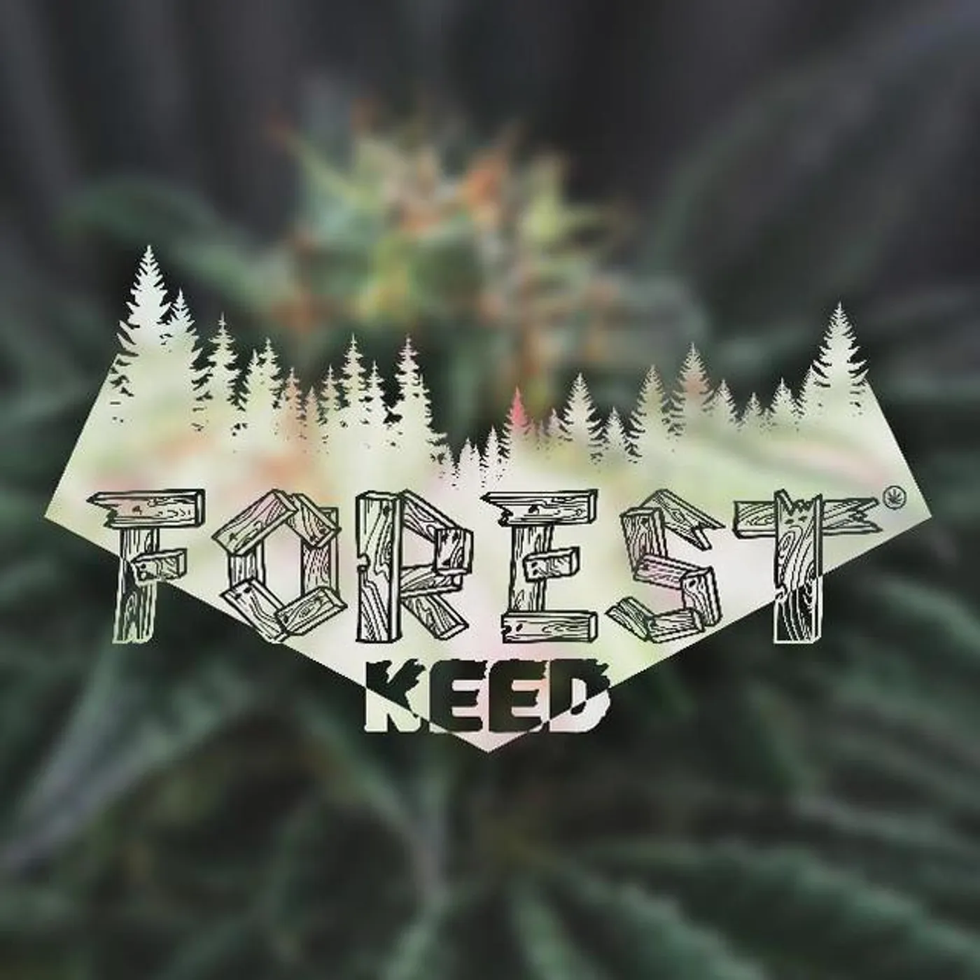 Forest Keed