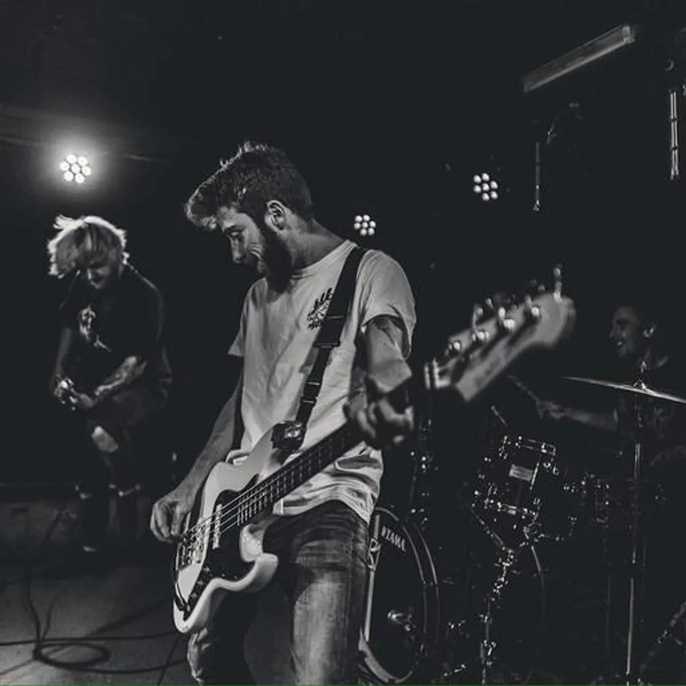 Forkupines Brand Page