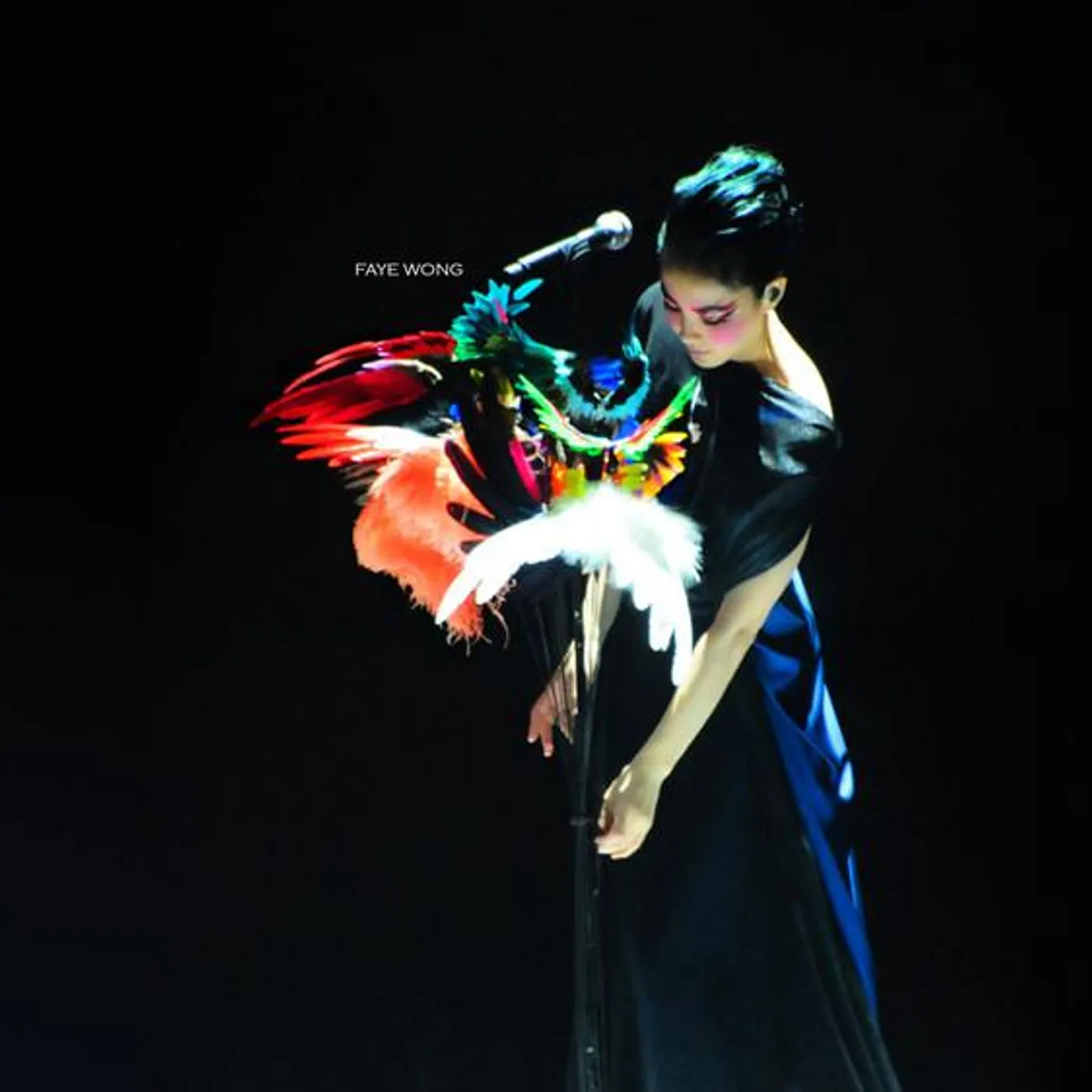 Faye Wong Brand Page