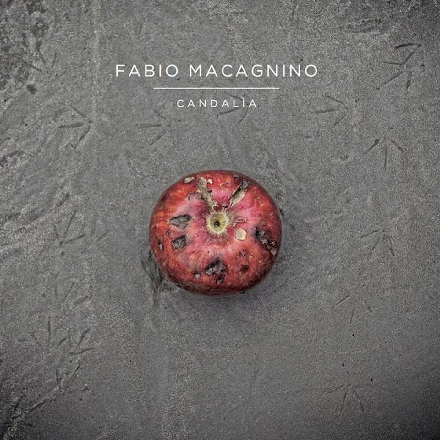 Fabio Macagnino Brand Page