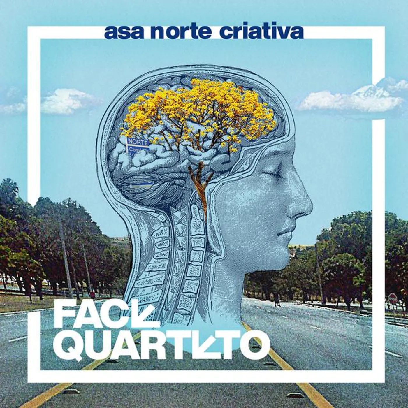 Face Quarteto