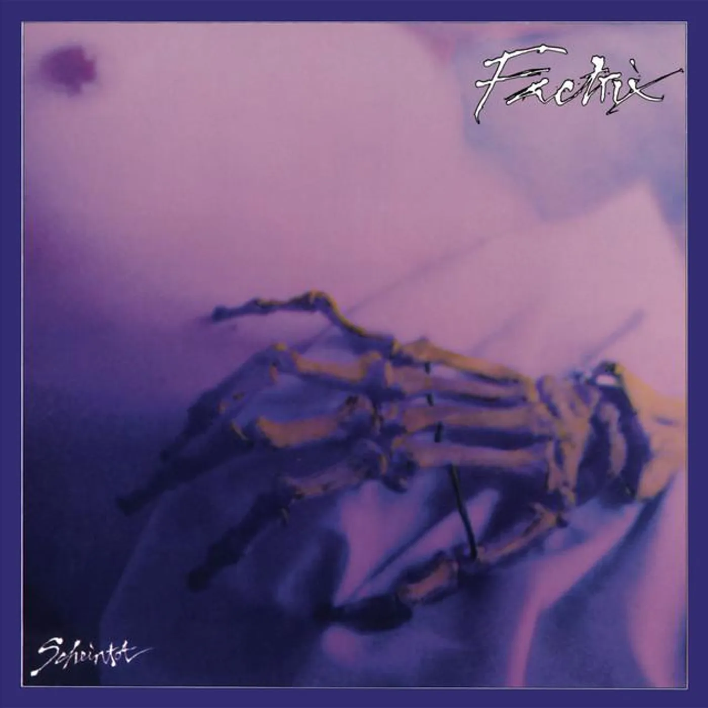 Factrix