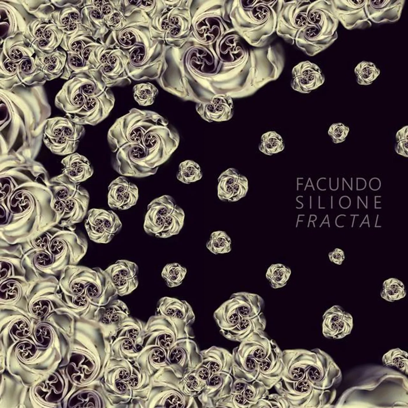 Facundo Silione