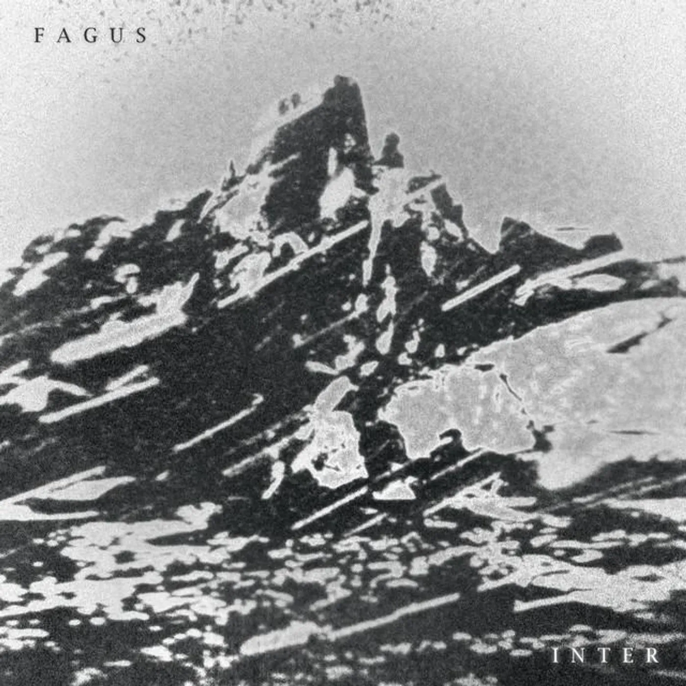 Fagus Brand Page
