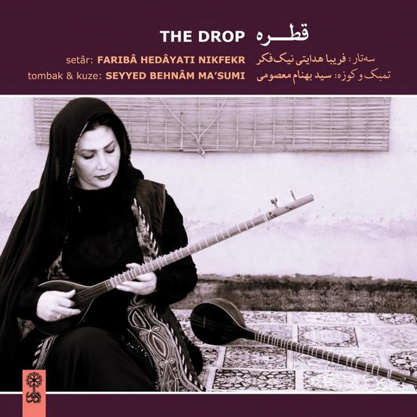 Fariba Hedayati Nikfekr