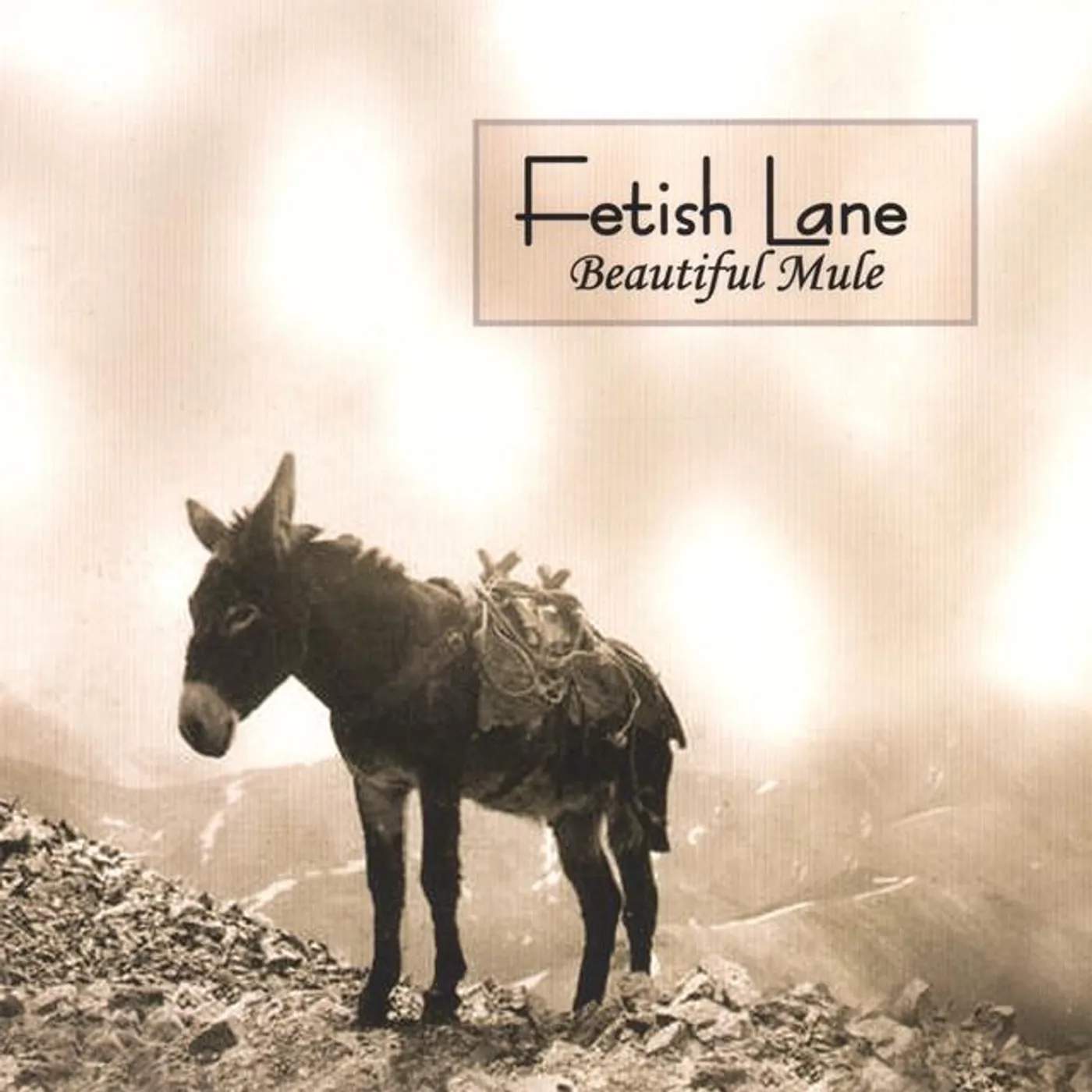 Fetish Lane Brand Page