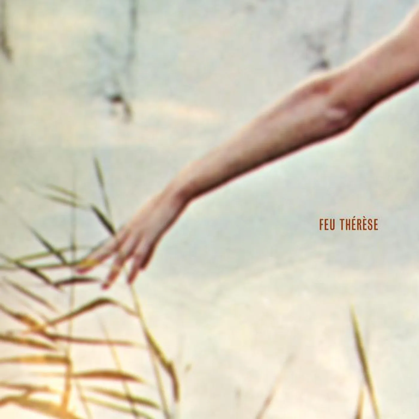 Feu Thérèse Brand Page
