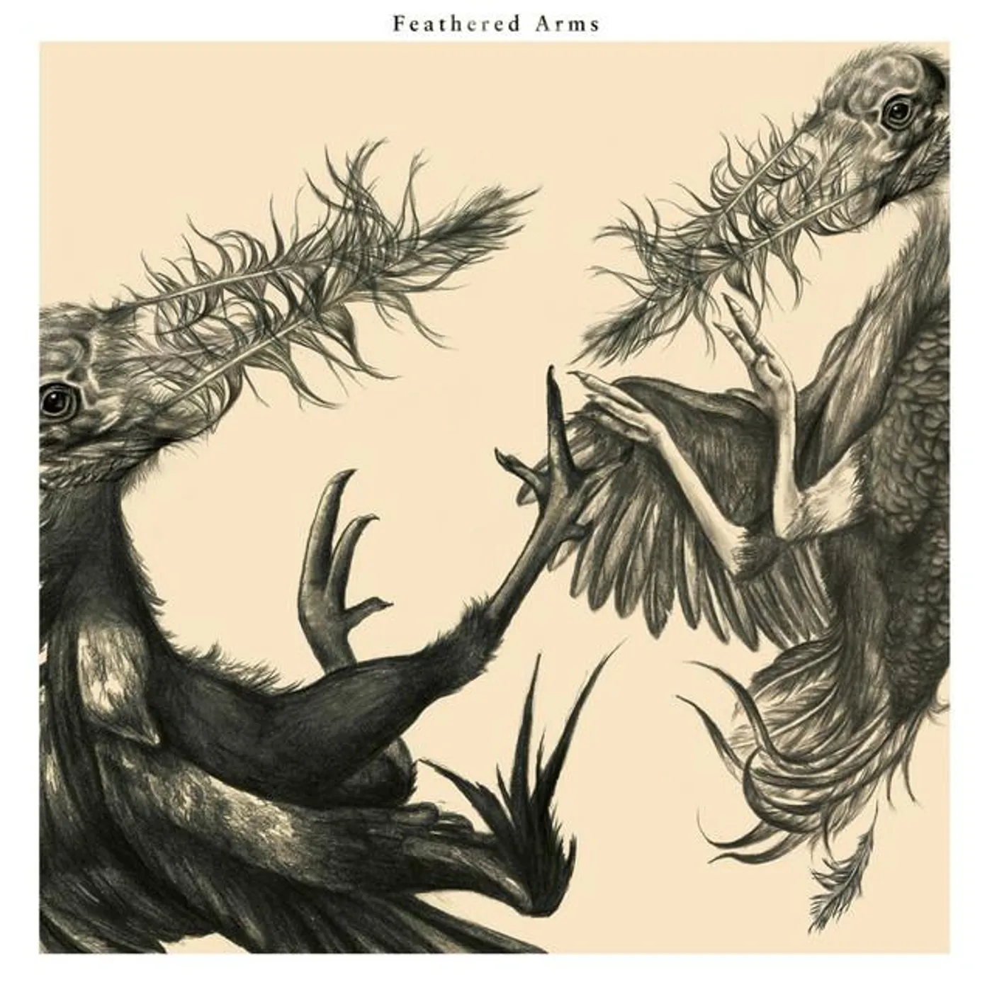 Feathered Arms Brand Page