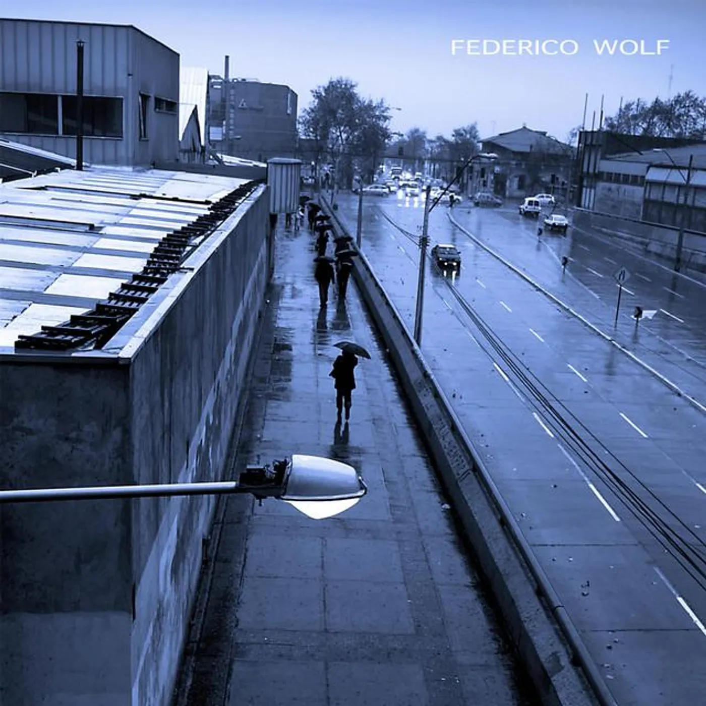 Federico Wolf