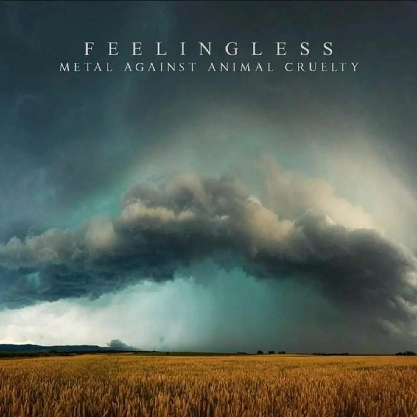 Feelingless Brand Page