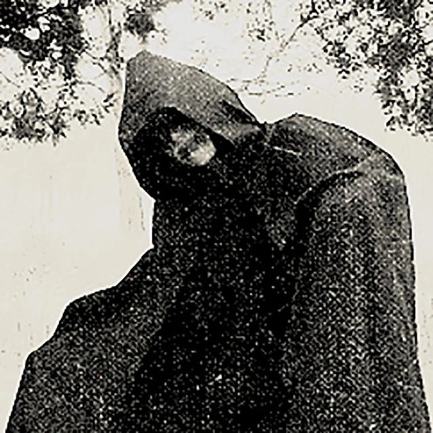 Felvum