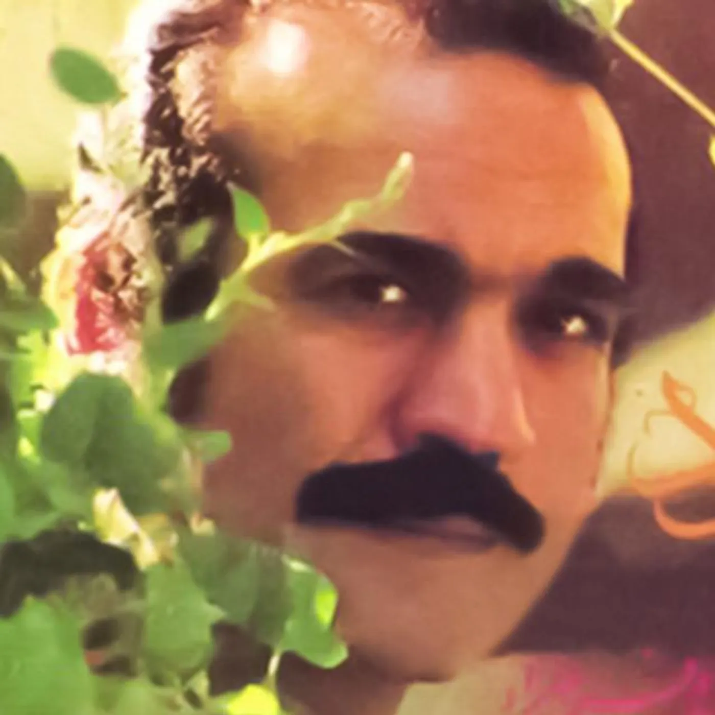 Fereydoon Farrokhzad Brand Page