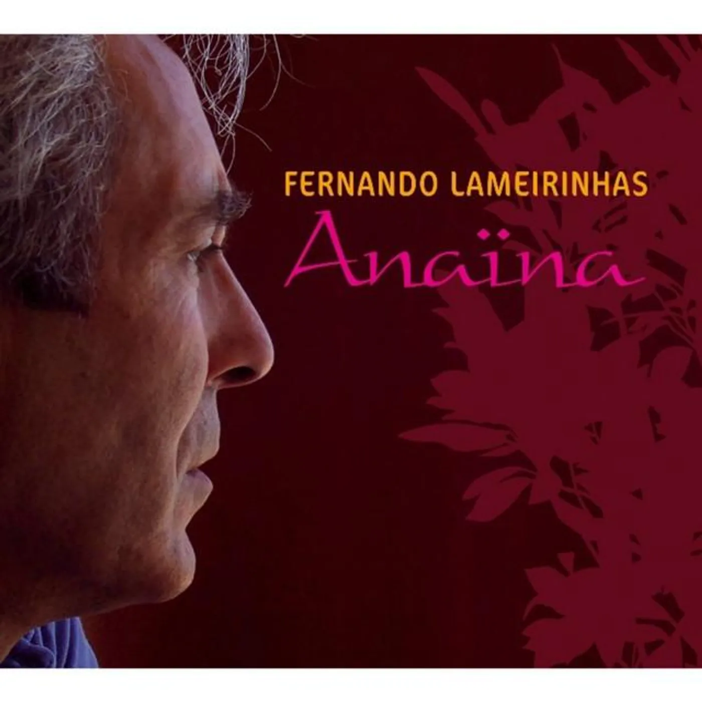 Fernando Lameirinhas Brand Page