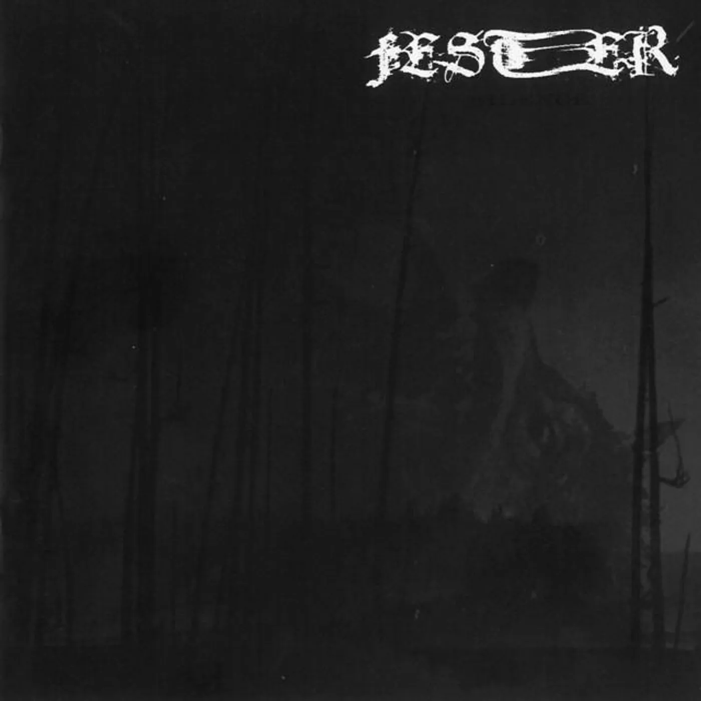 Fester